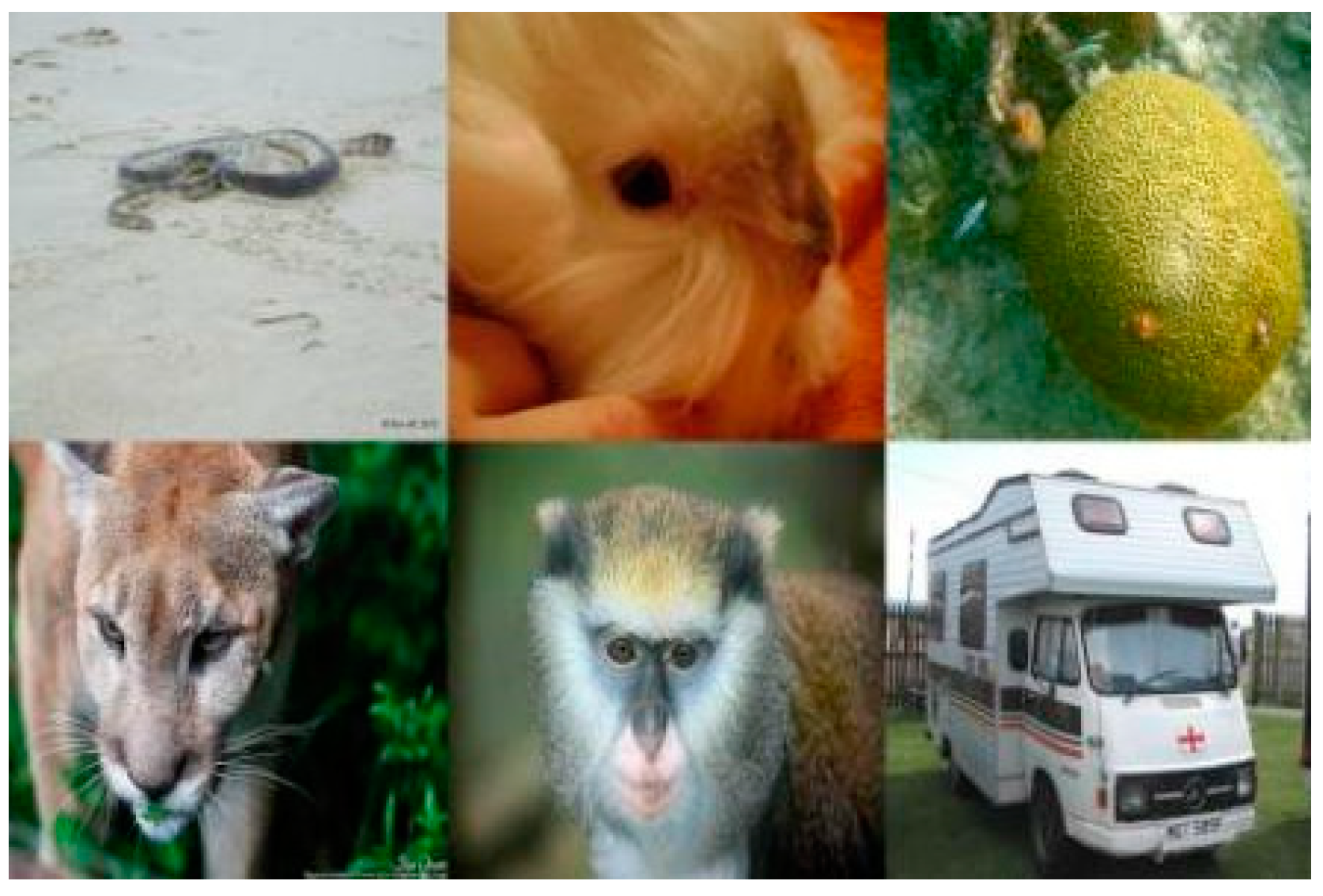 Mathematics 13 00531 g002