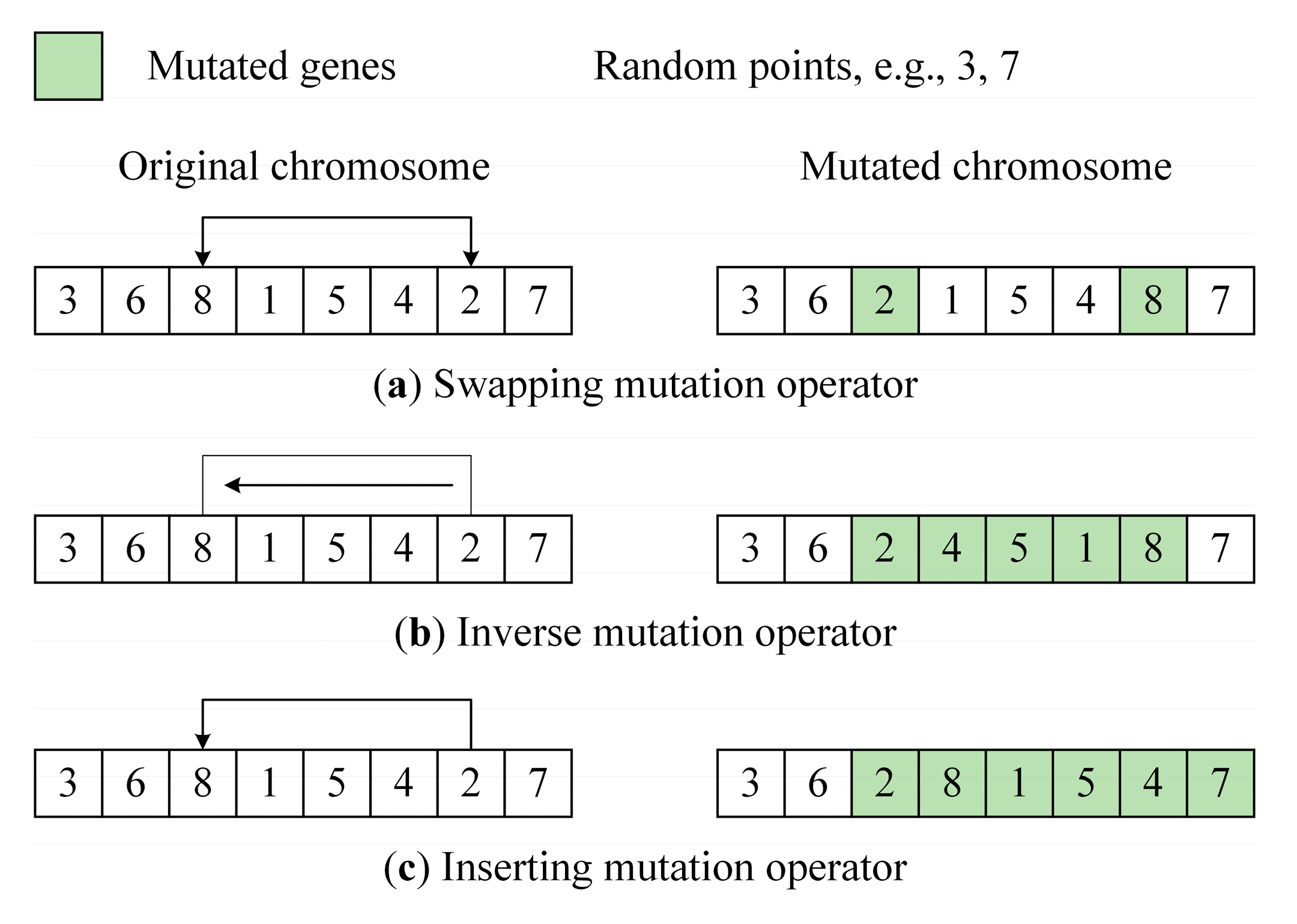 Mathematics 13 00545 g006