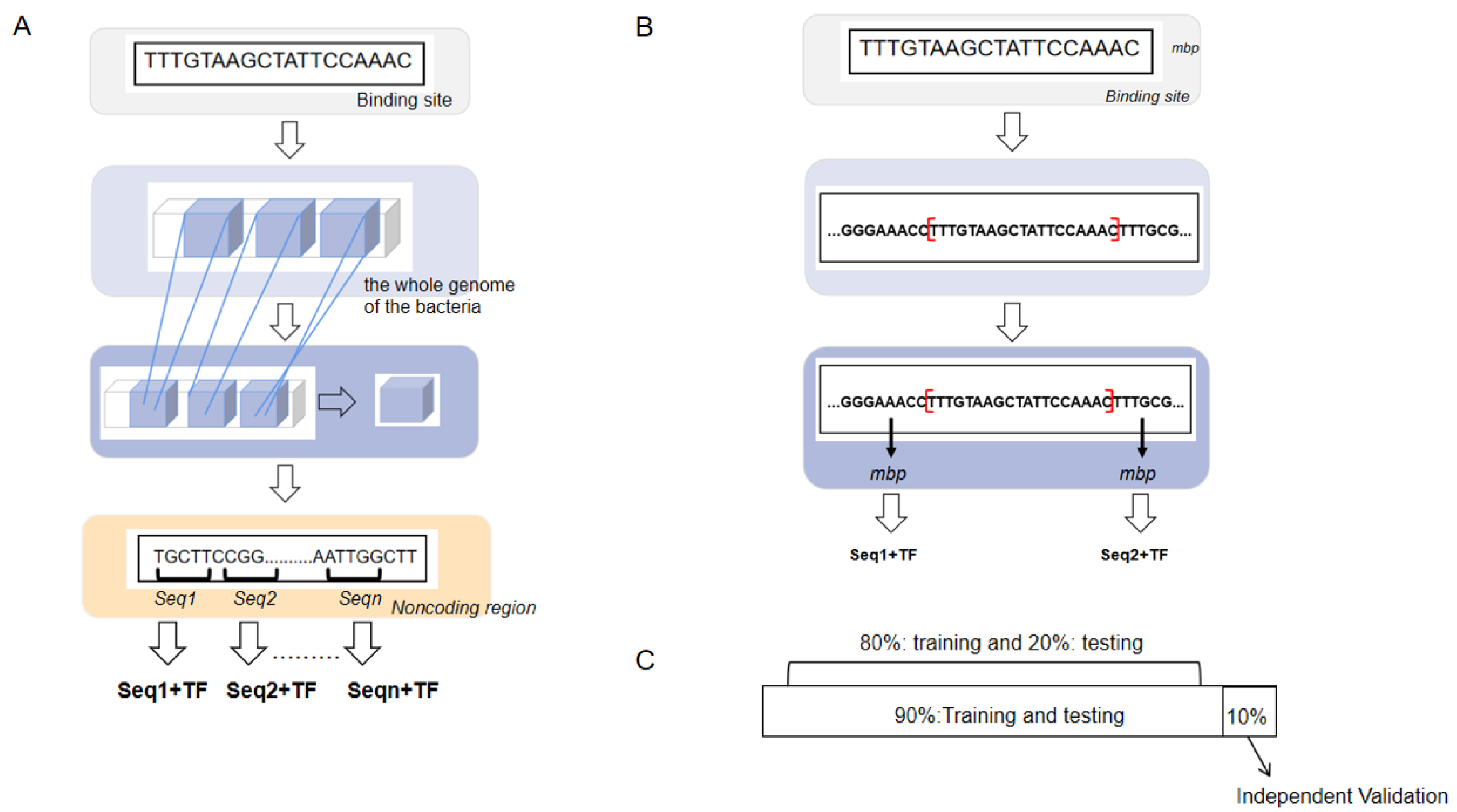 Mathematics 13 00589 g001