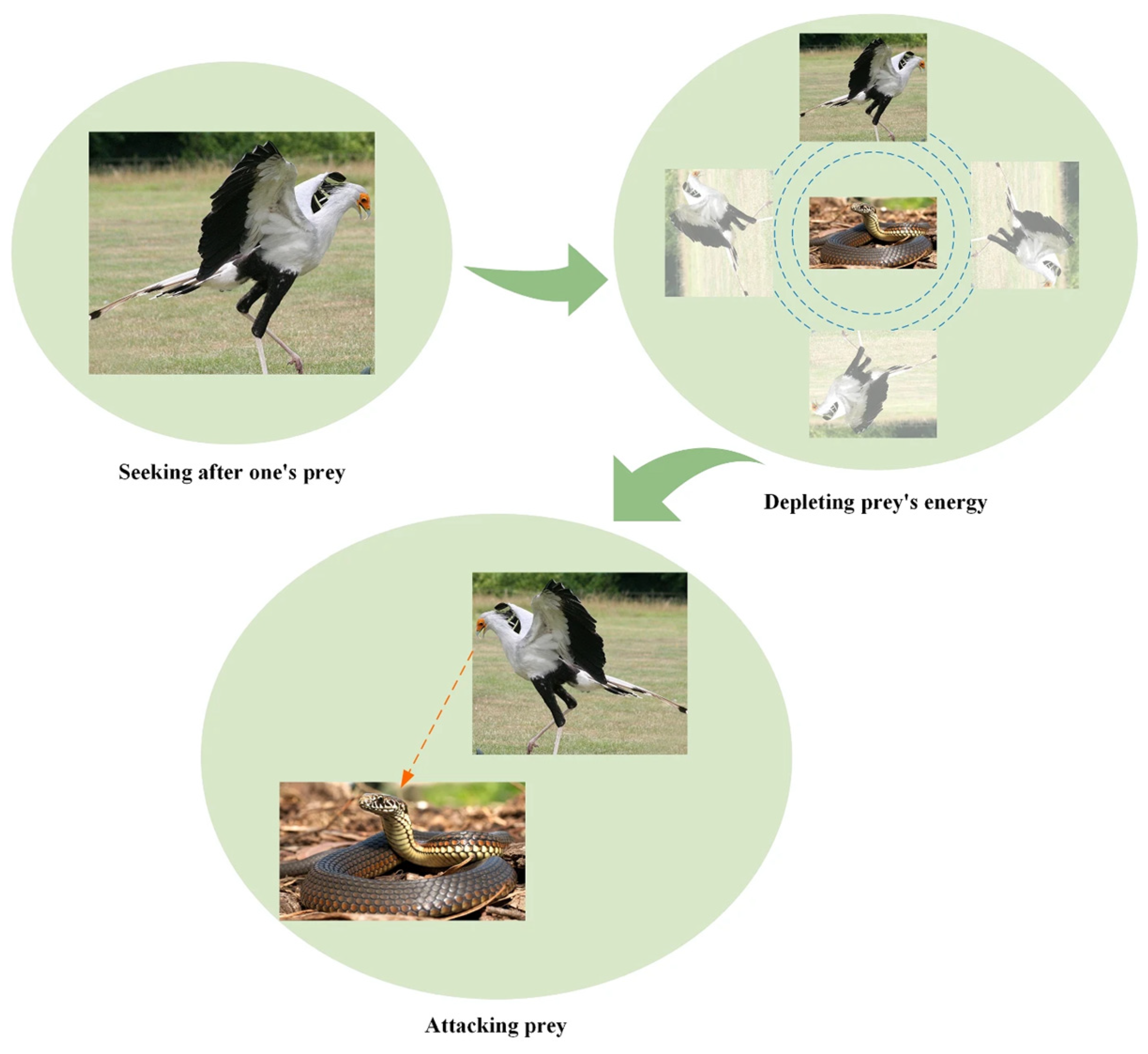 Mathematics 13 00668 g001