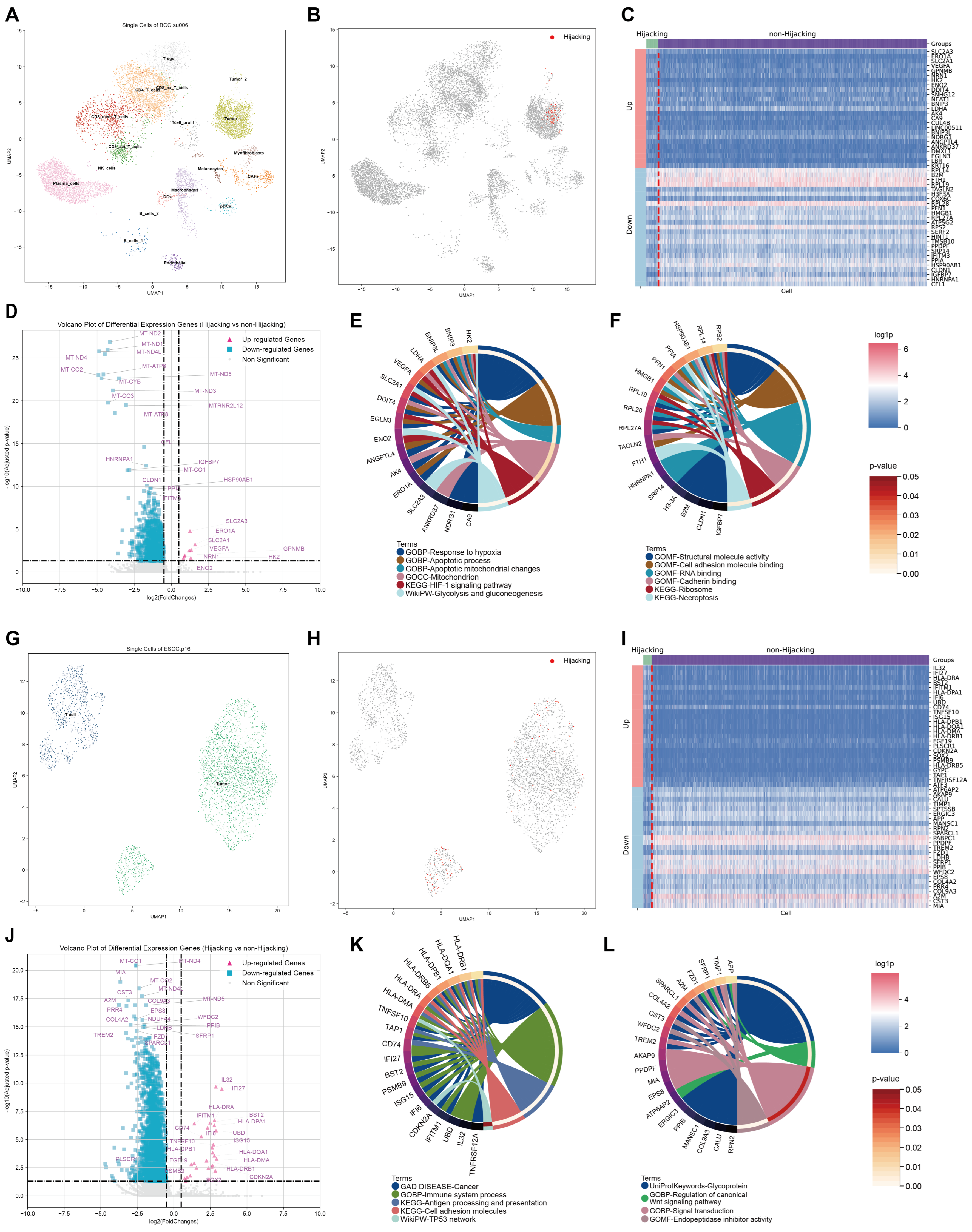 Mathematics 13 00673 g008