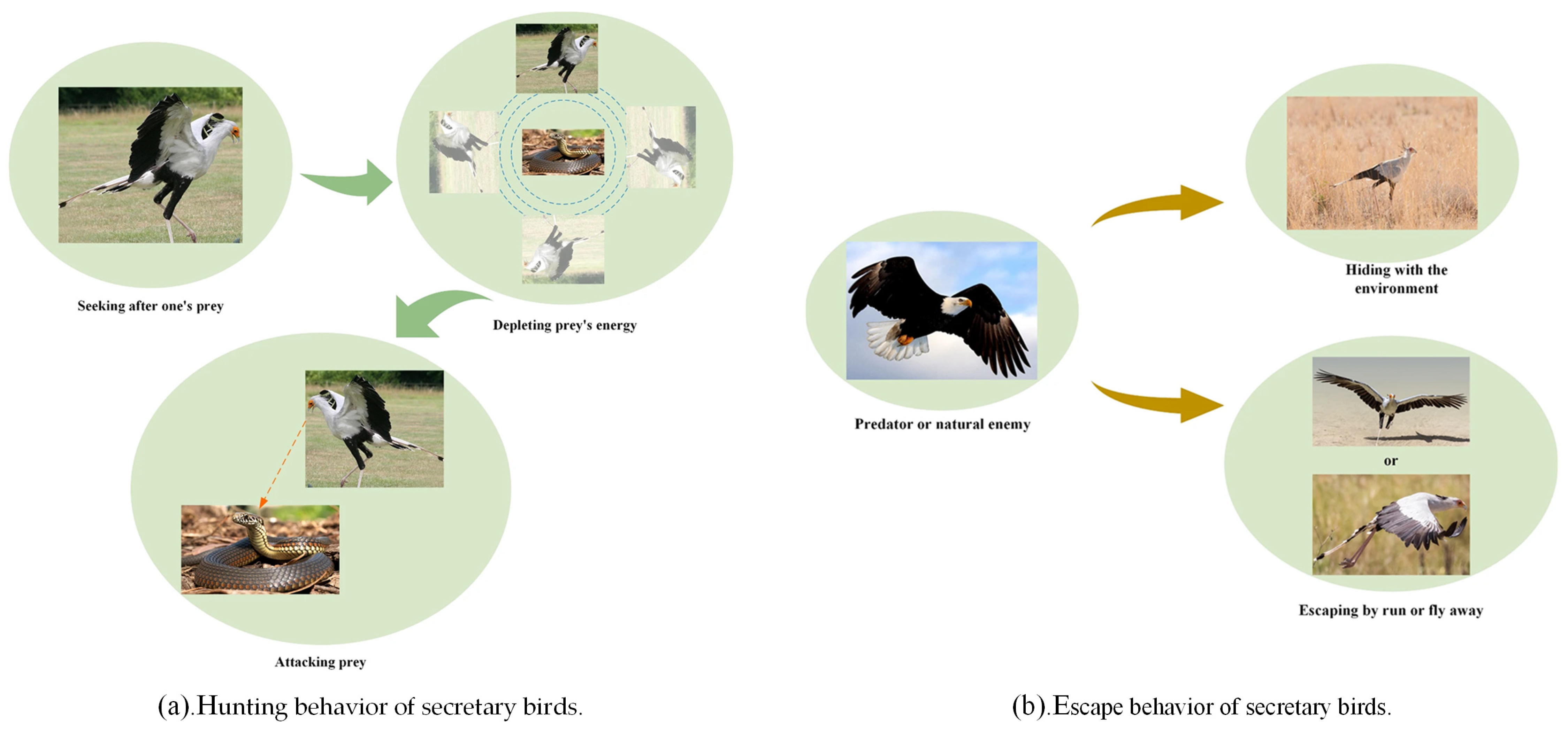 Mathematics 13 00717 g001