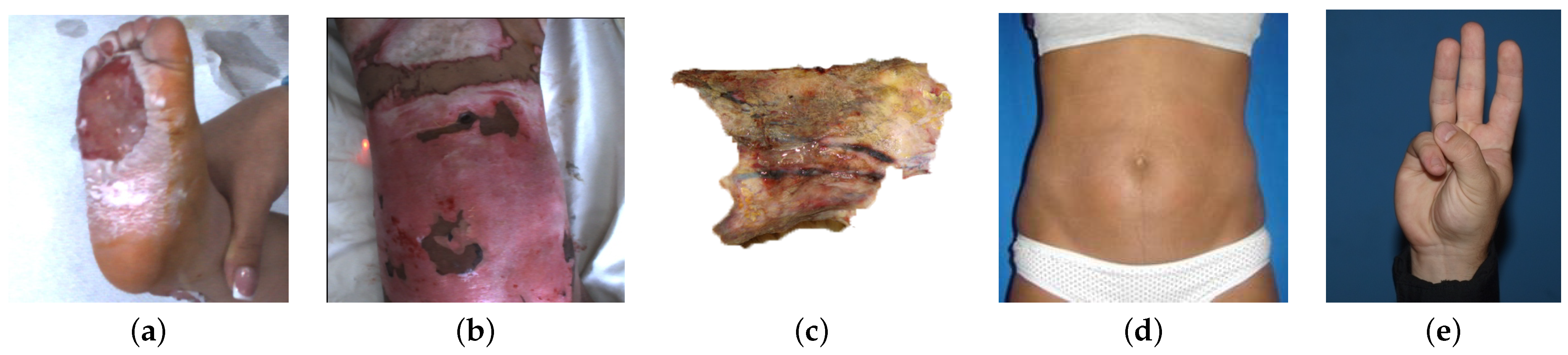 Mathematics 13 00758 g001