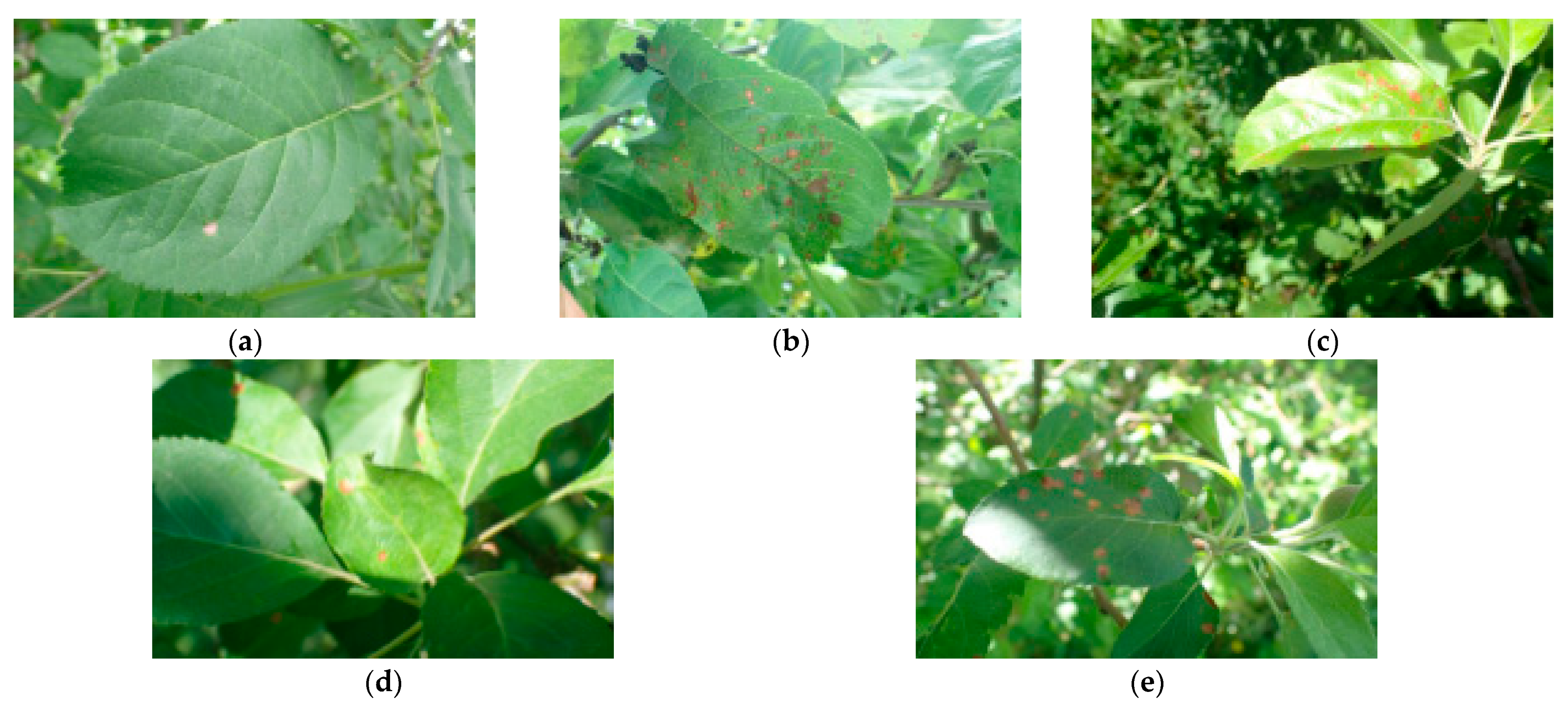 Mathematics 13 00840 g001