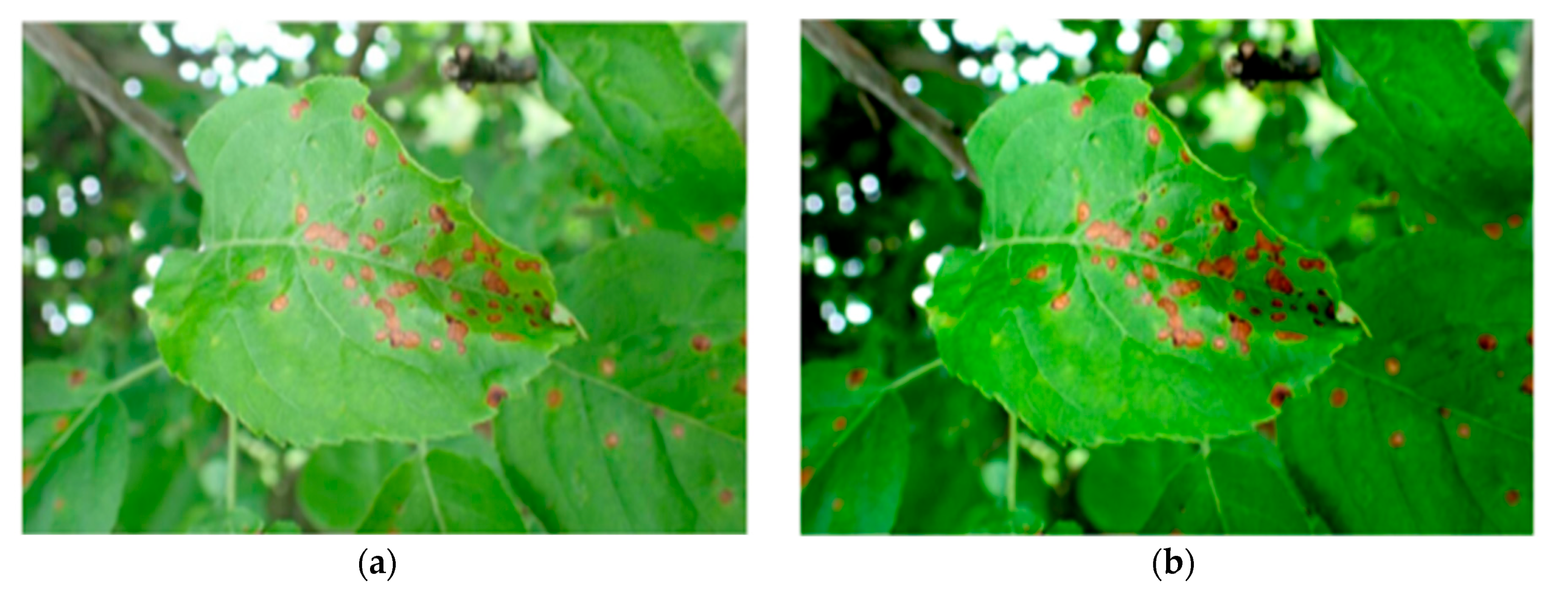 Mathematics 13 00840 g002