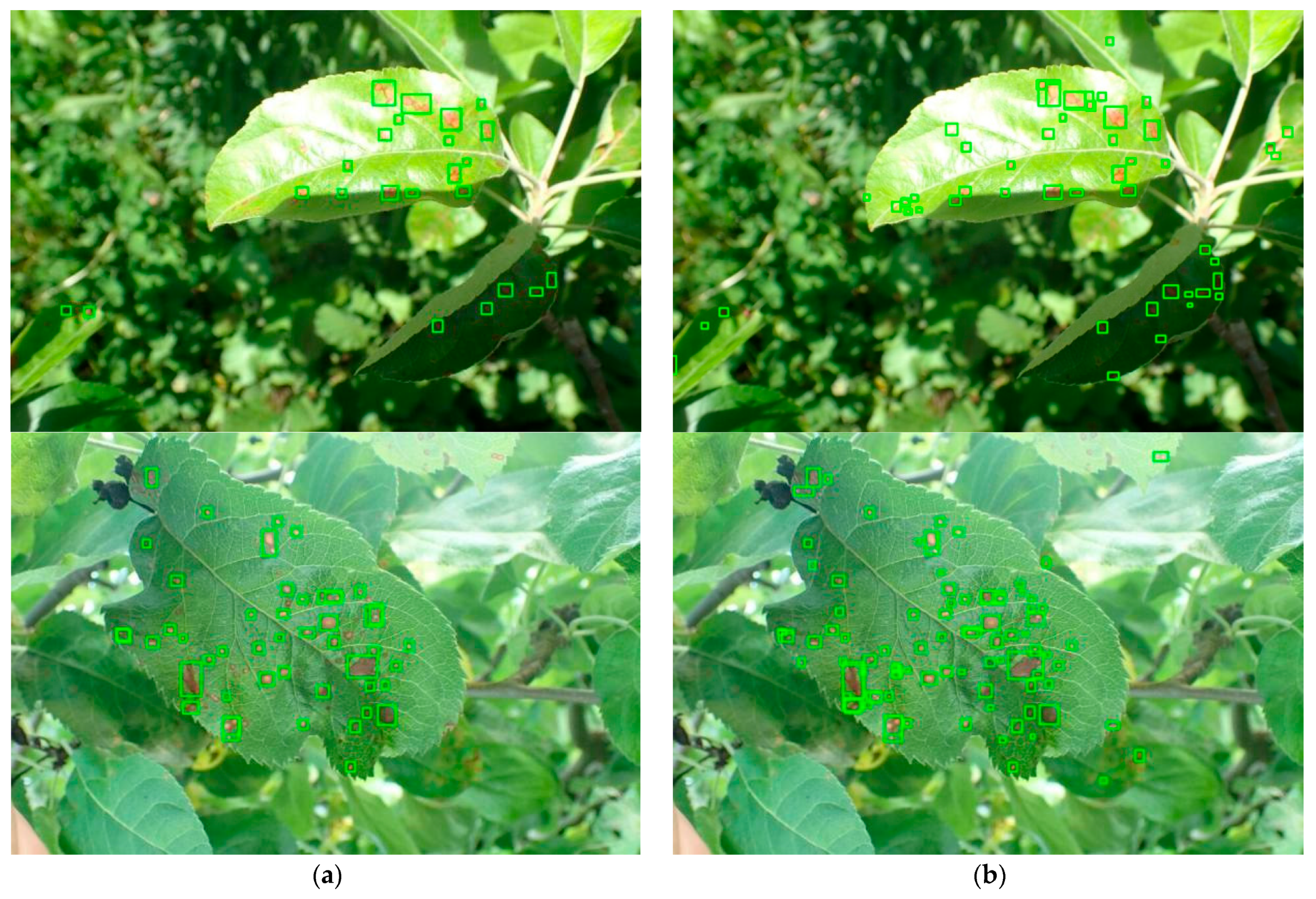 Mathematics 13 00840 g013