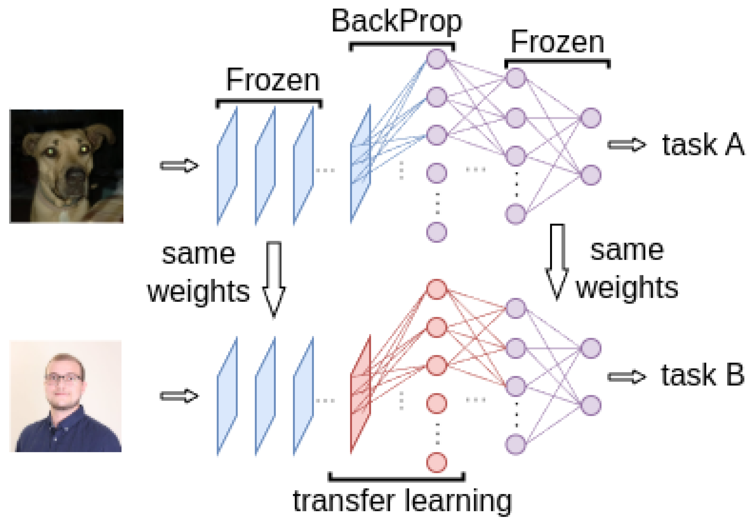 Mathematics 13 00887 g005