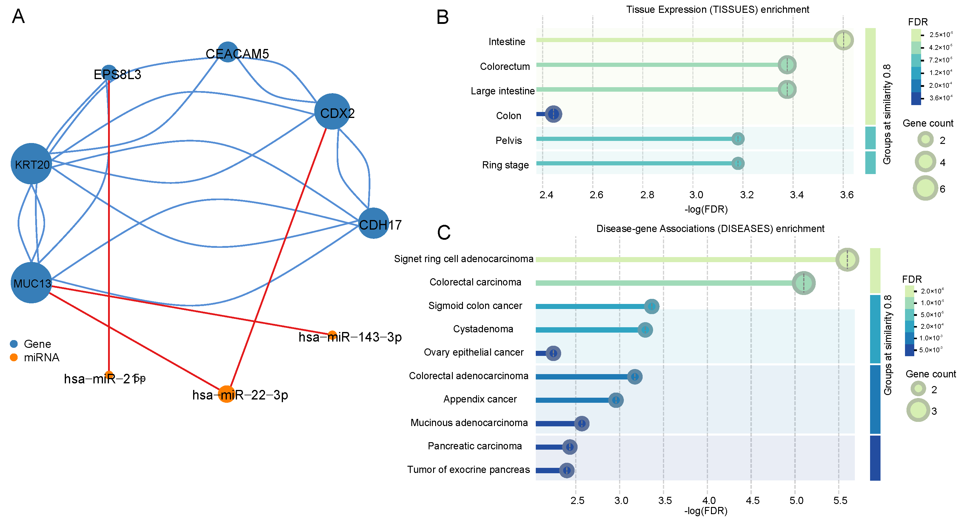 Mathematics 13 01020 g005