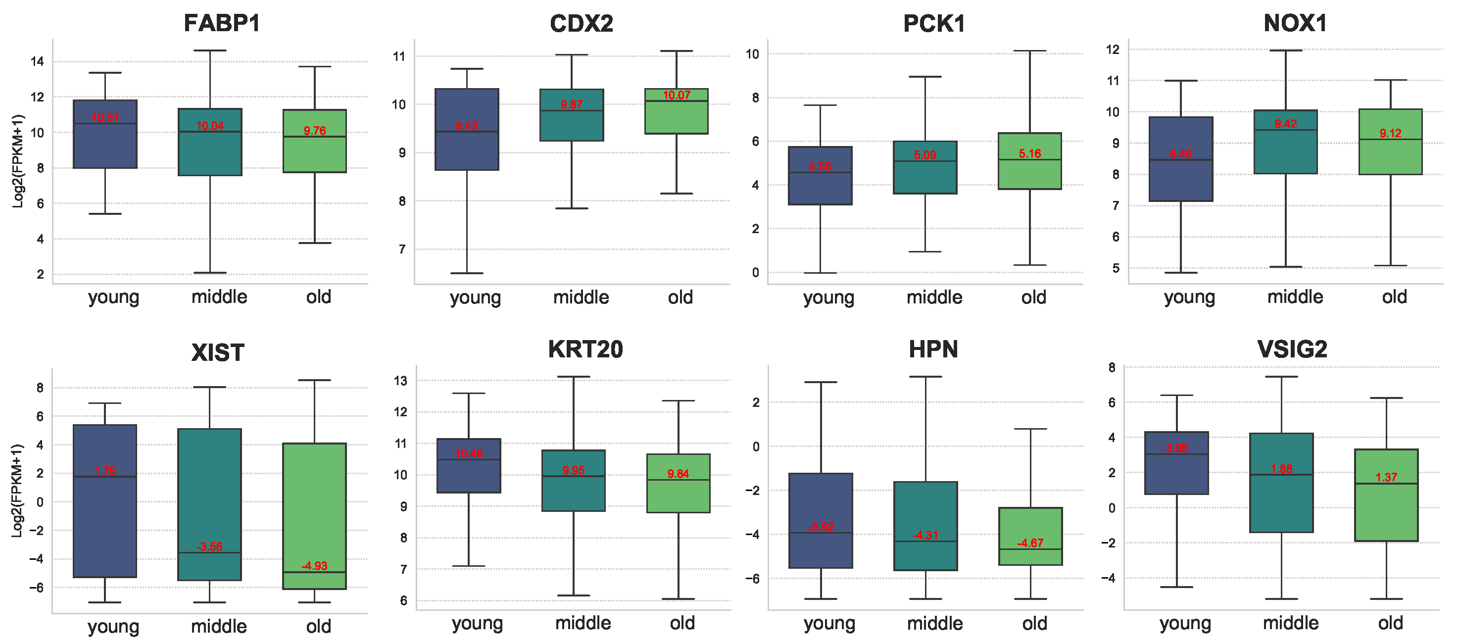 Mathematics 13 01020 g008