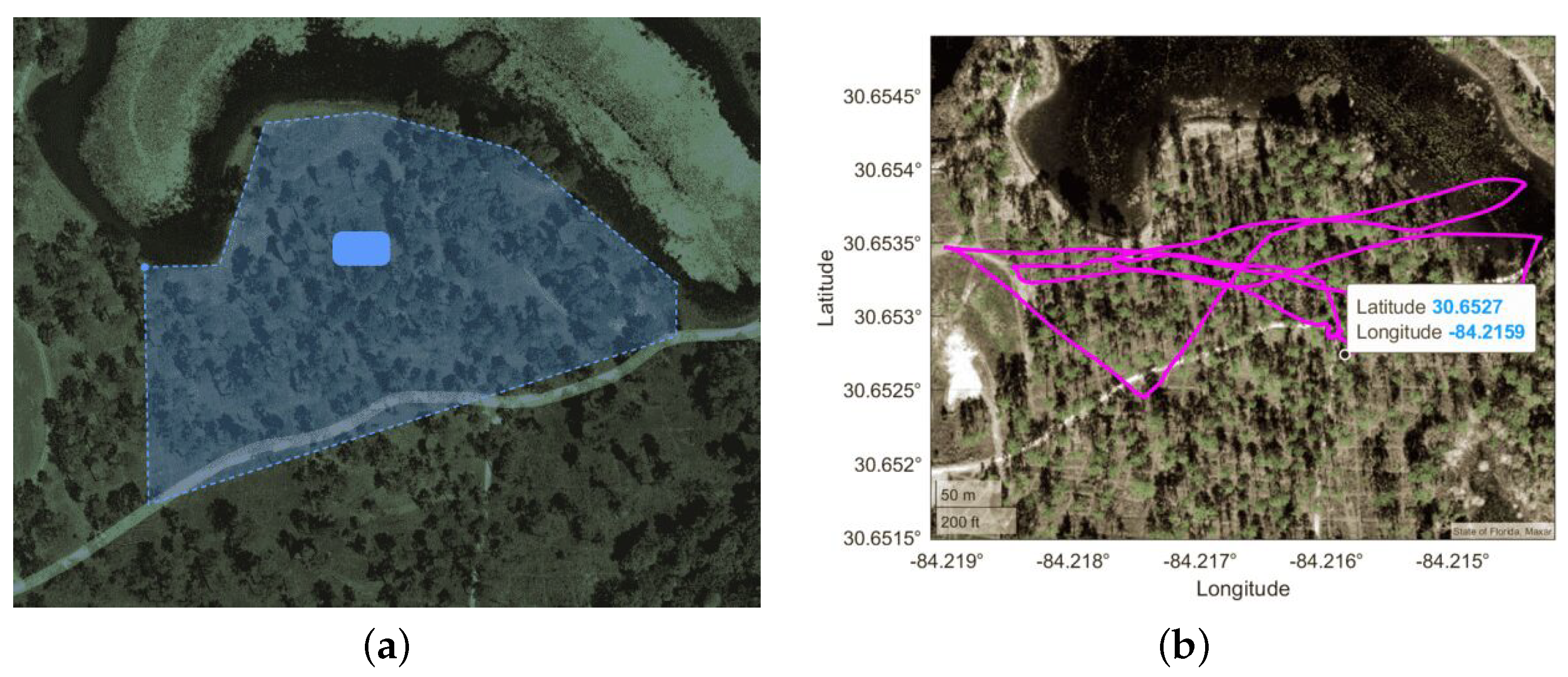 Mathematics 13 01046 g005
