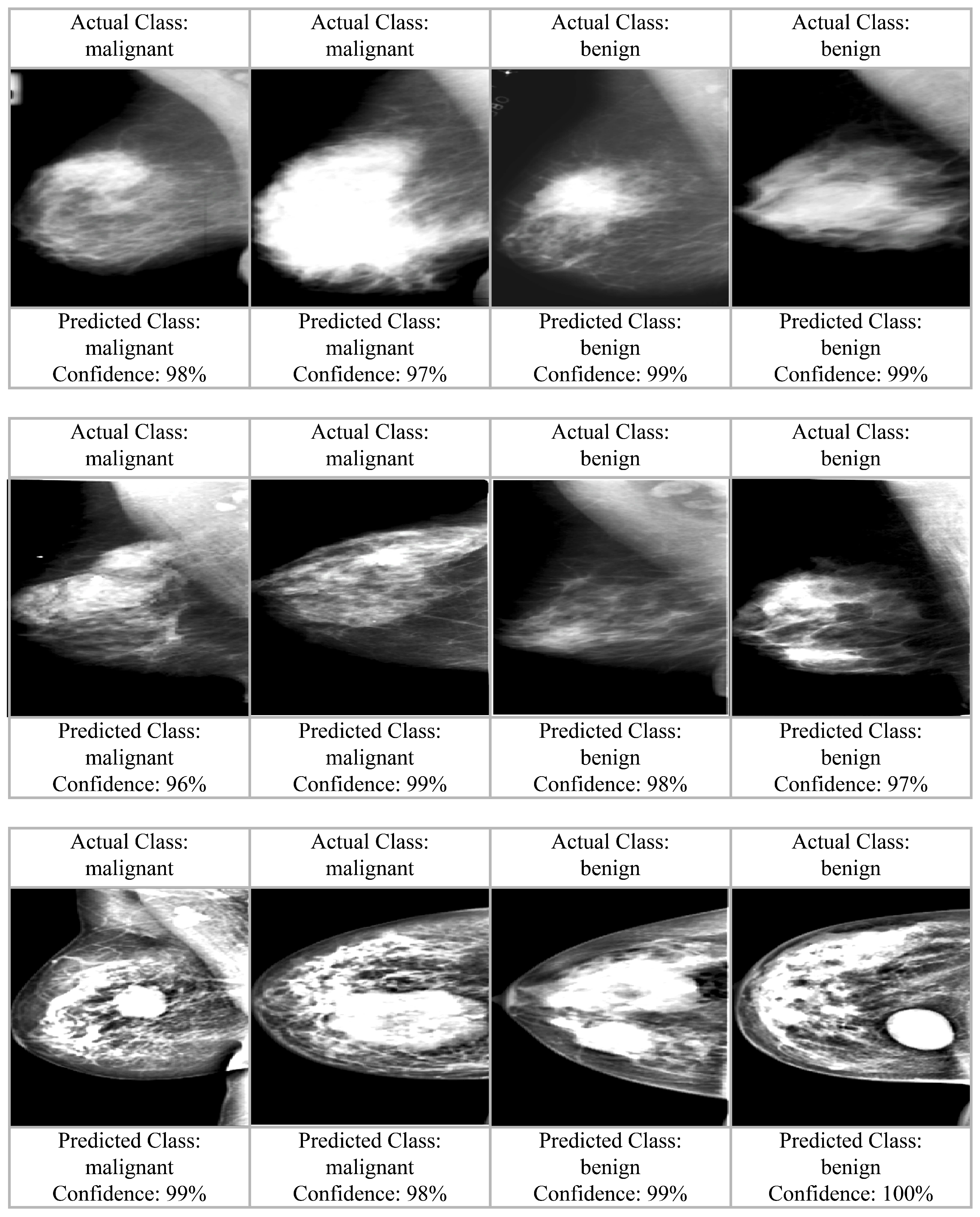 Mathematics 13 01236 g012