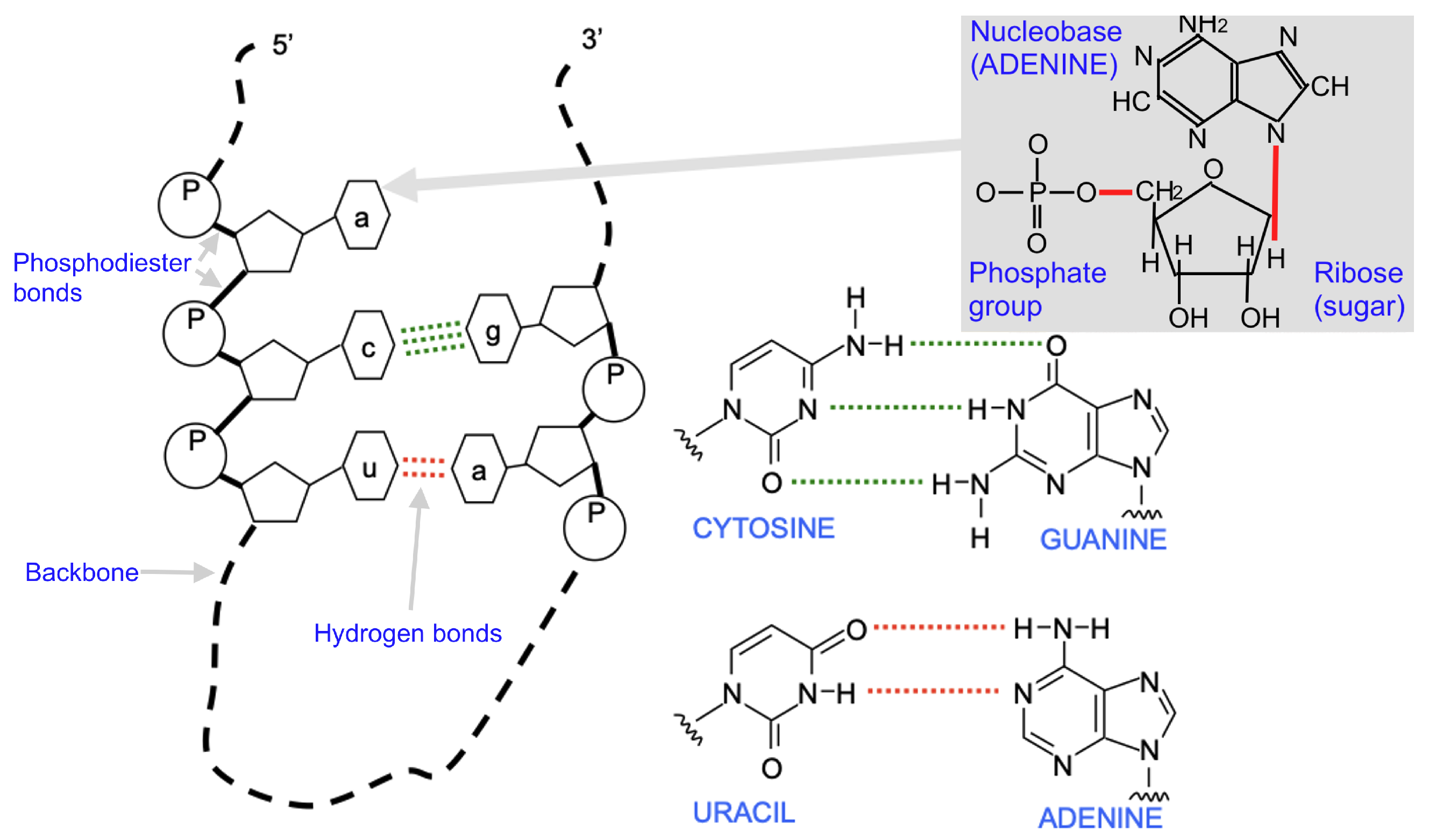 Mathematics 13 01352 g001