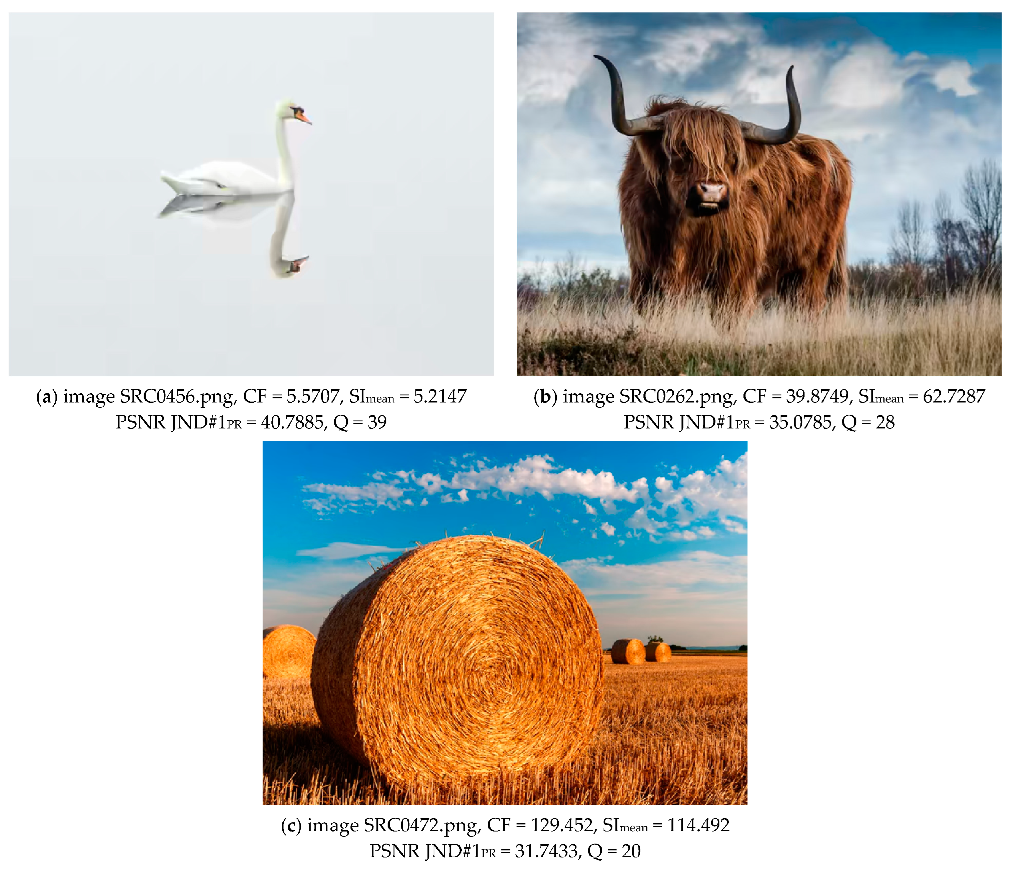 Mathematics 13 01445 g028