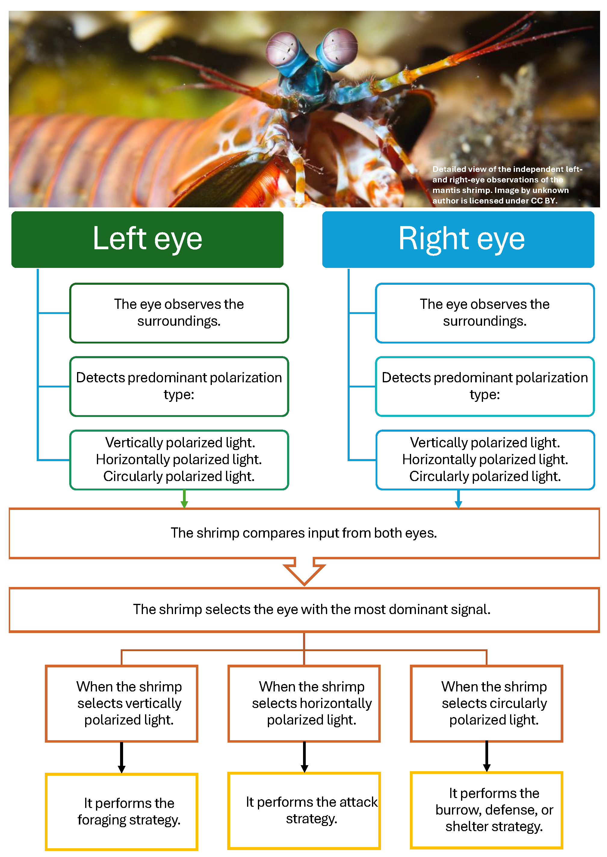 Mathematics 13 01500 g004