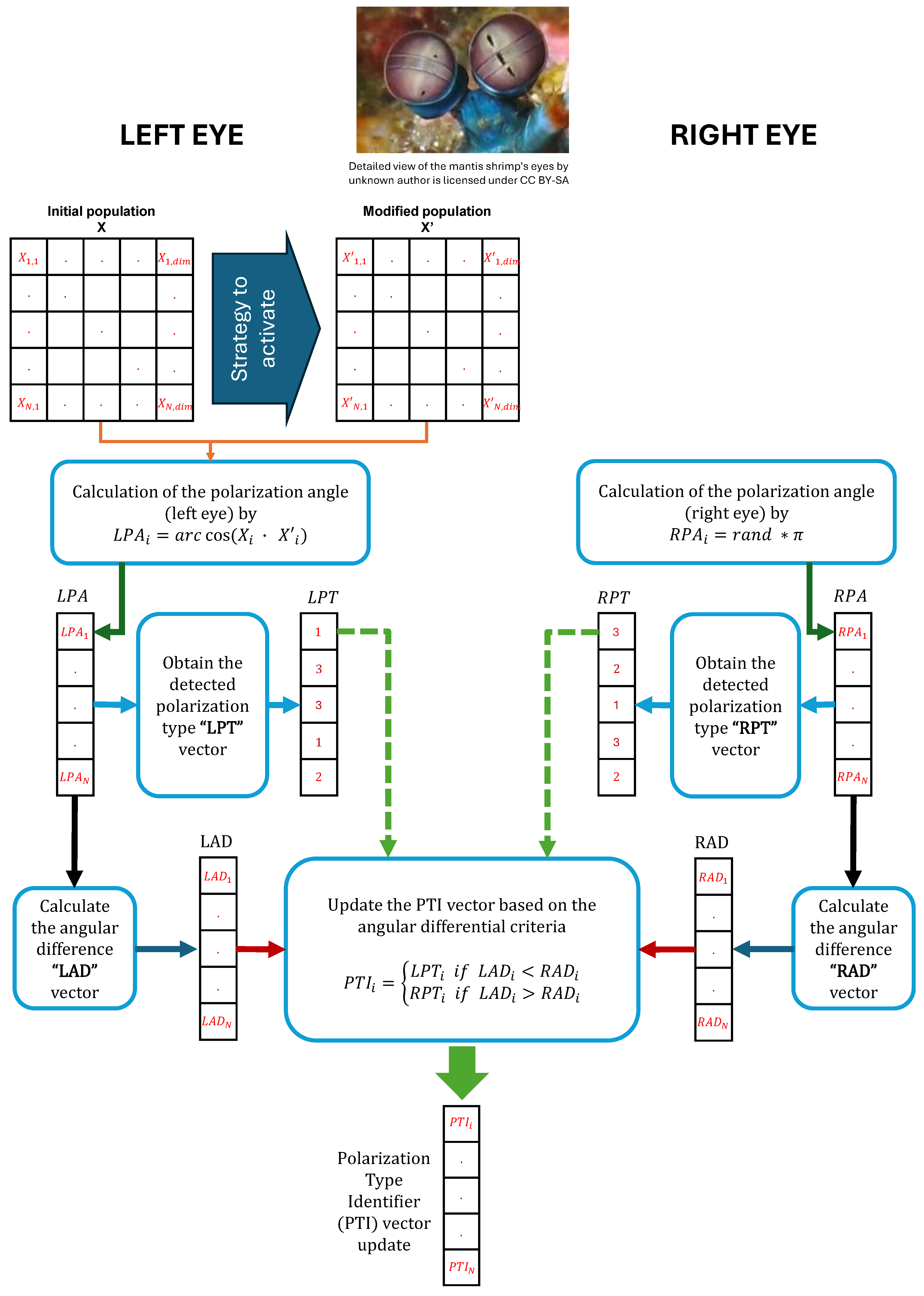 Mathematics 13 01500 g006