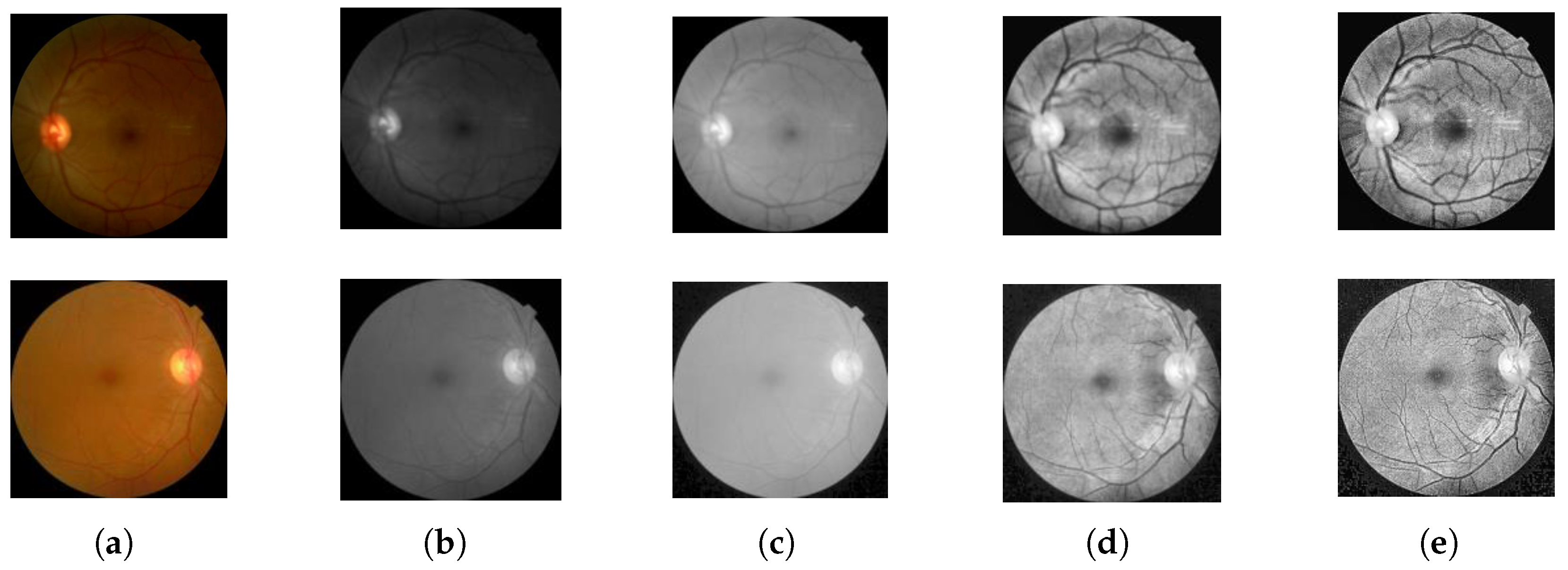 Mathematics 13 01557 g003