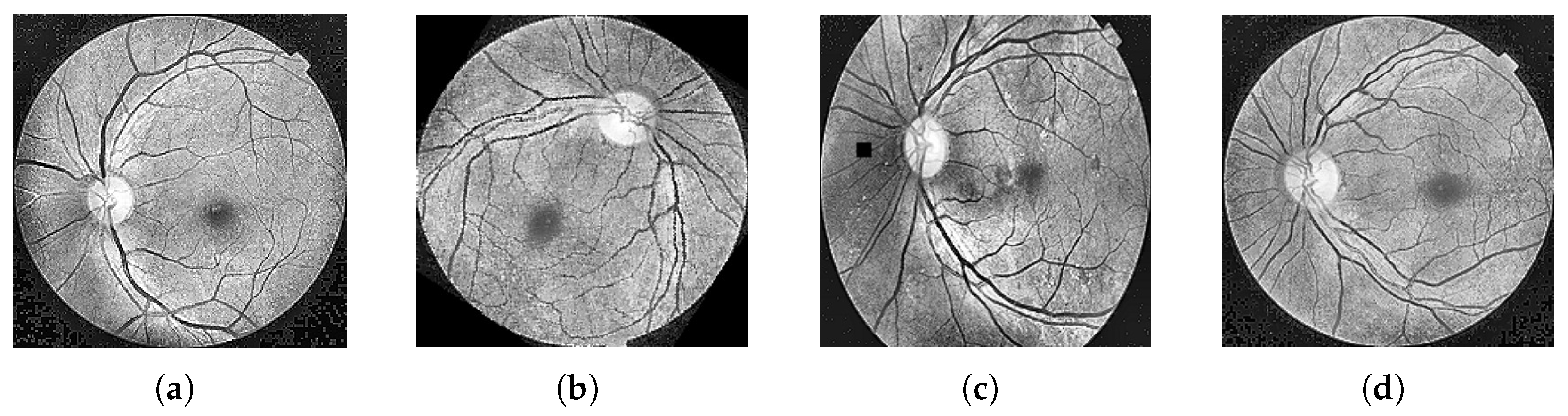 Mathematics 13 01557 g004