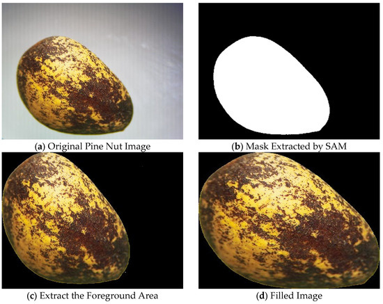 Mathematics 13 02009 g005