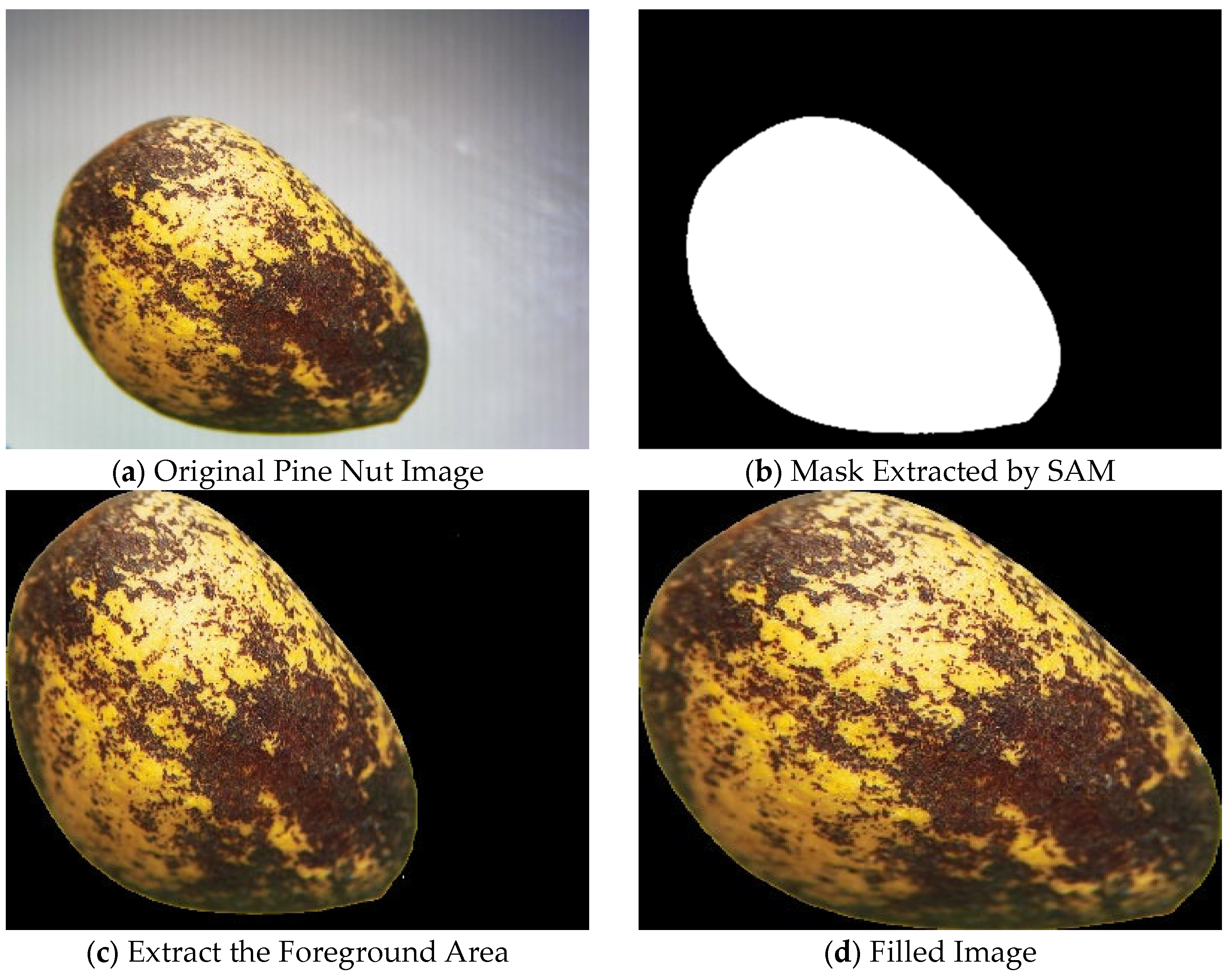 Mathematics 13 02009 g005