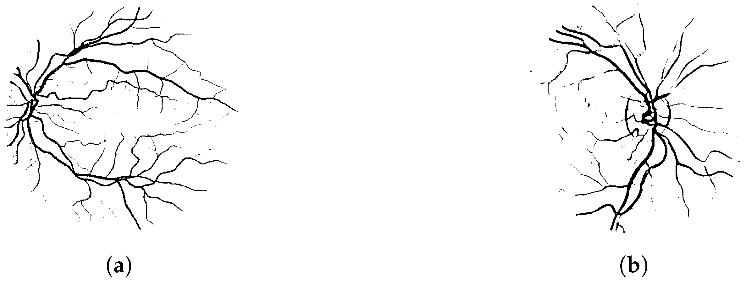 Mathematics 13 02114 g013