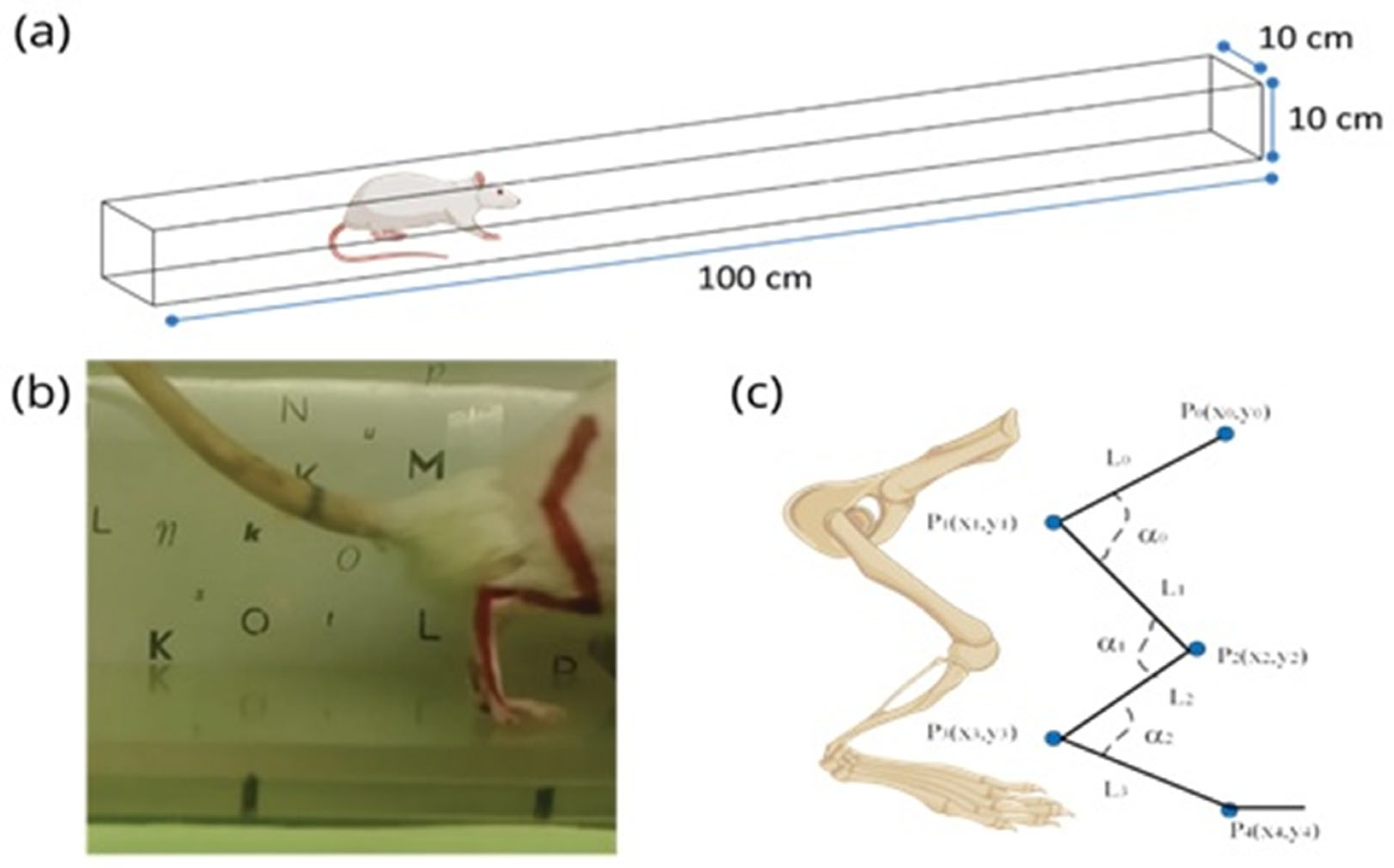 Mathematics 13 02187 g001