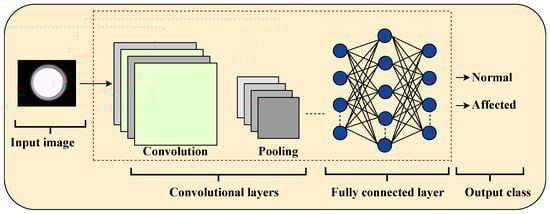 Mathematics 13 02507 g001