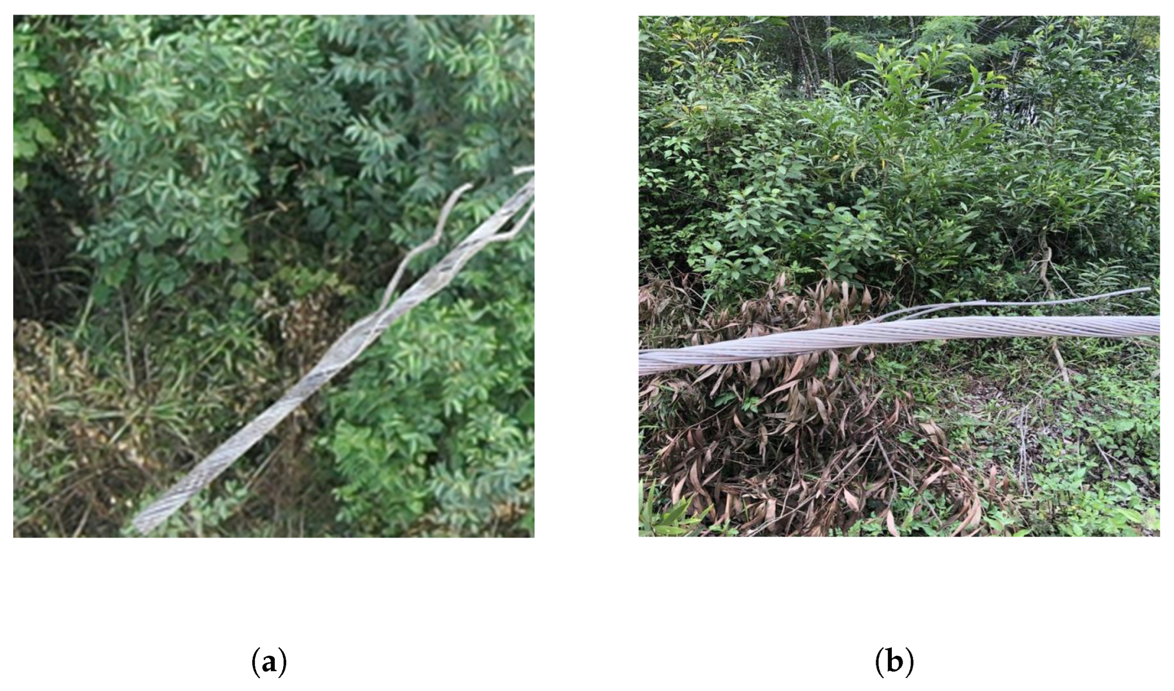 Mathematics 13 02859 g002 Mathematics 13 02859 g002