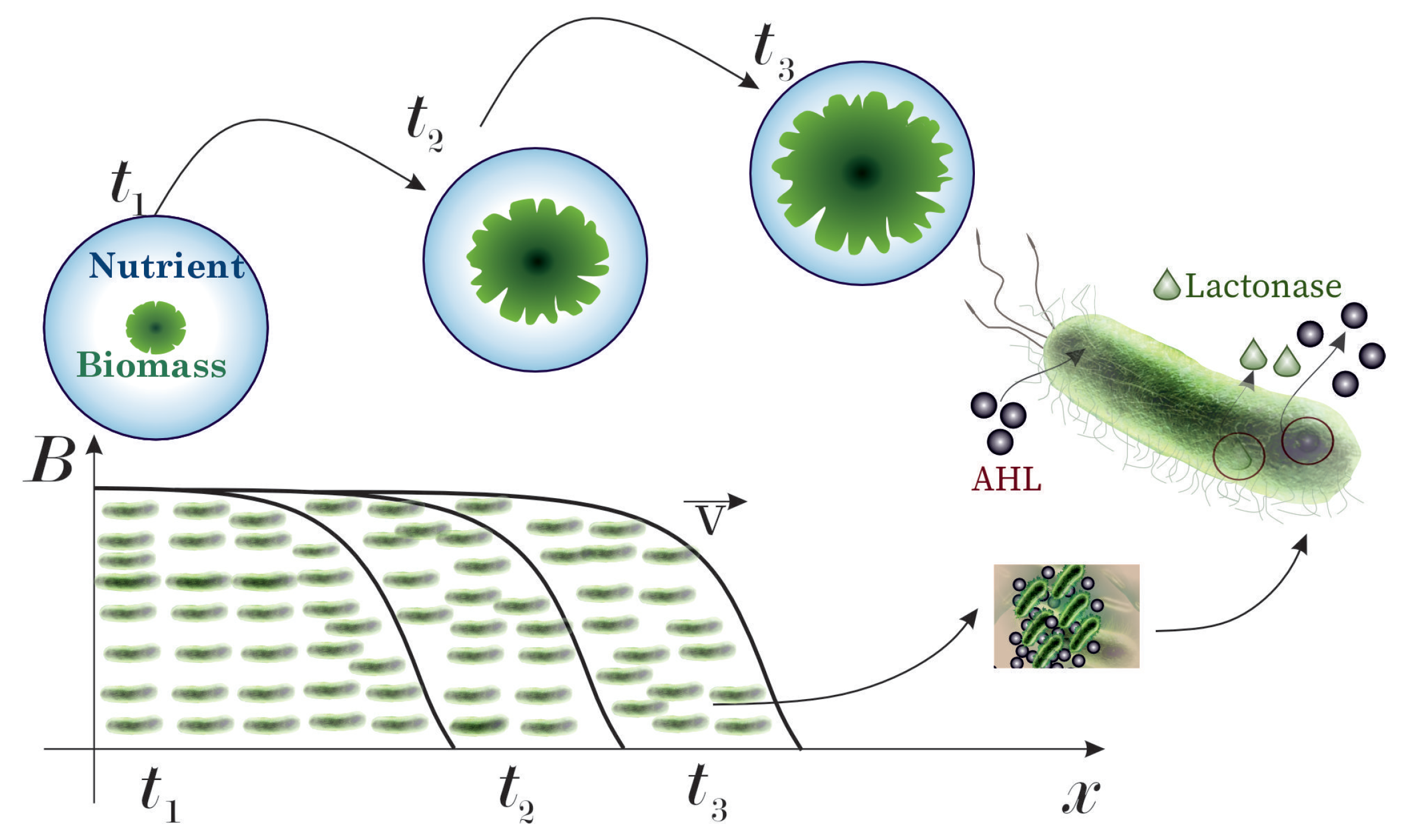 Mathematics 13 03013 g002