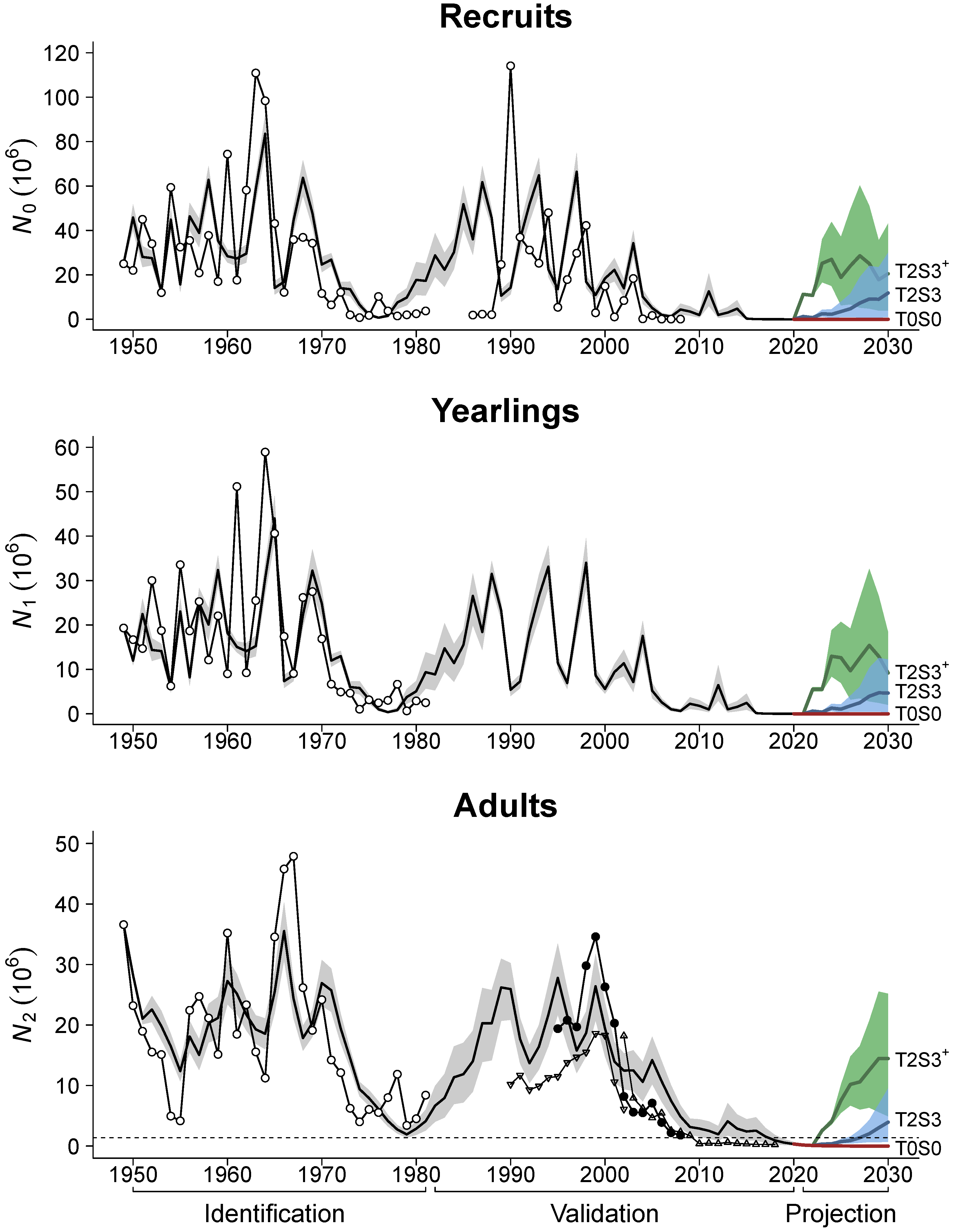Mathematics 13 03232 g003 Mathematics 13 03232 g003