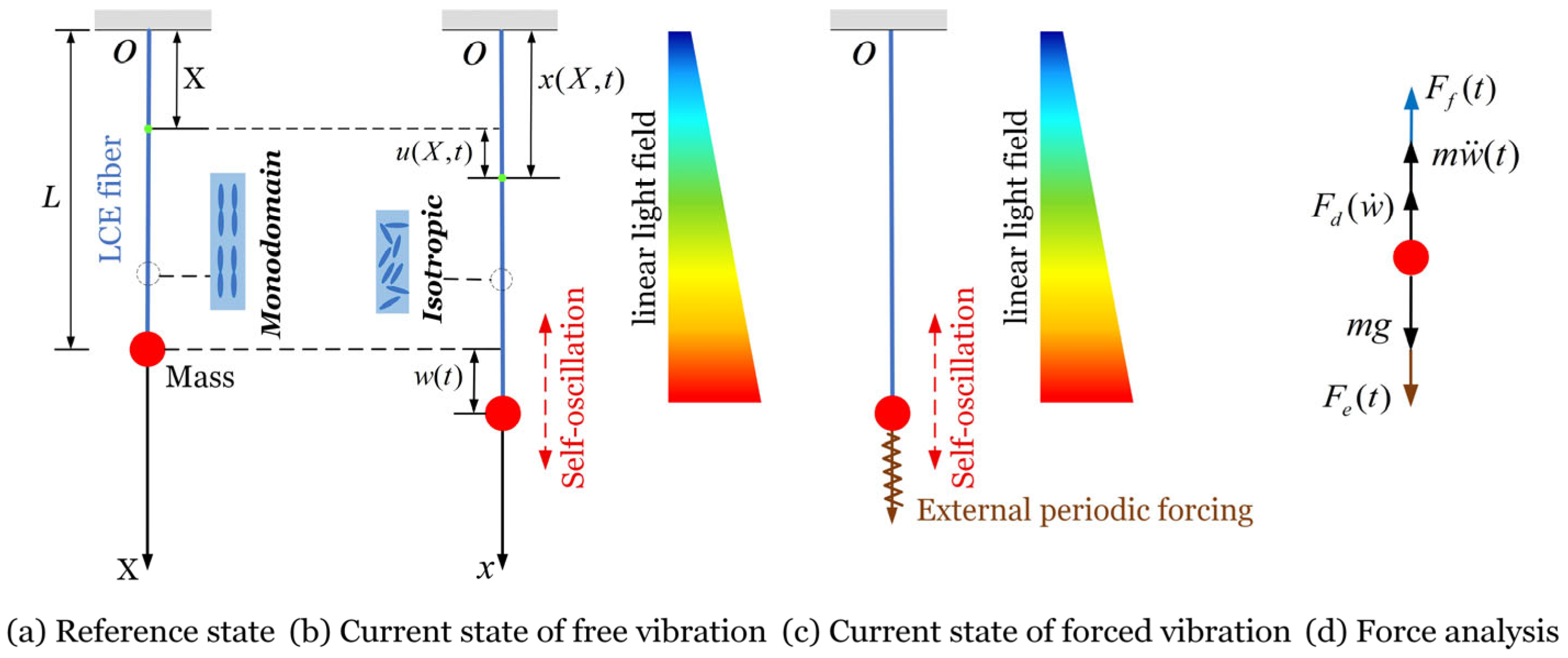 Mathematics 13 03365 g001