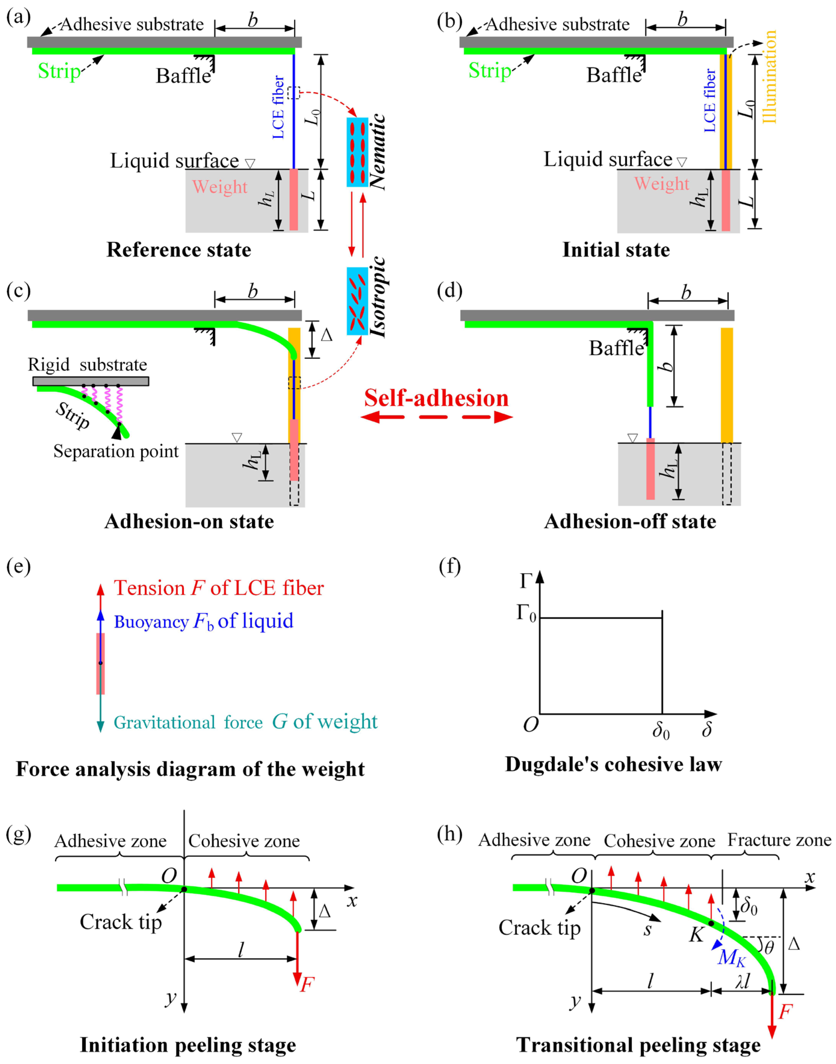 Mathematics 13 03390 g002