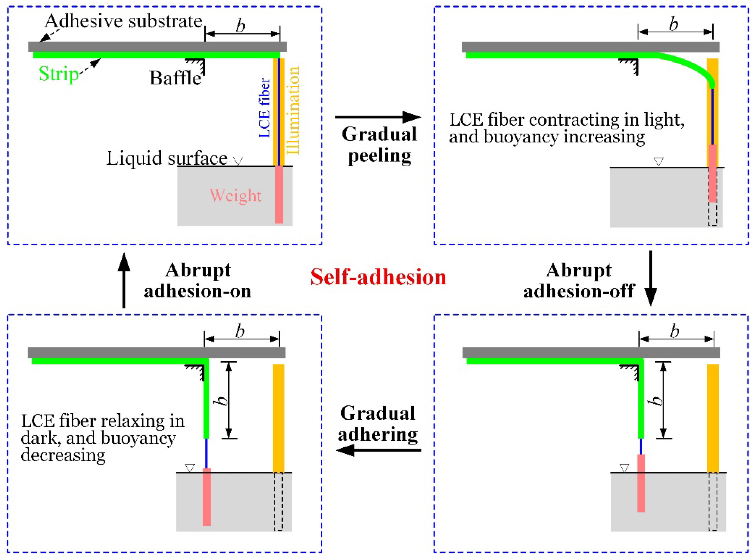 Mathematics 13 03390 g006