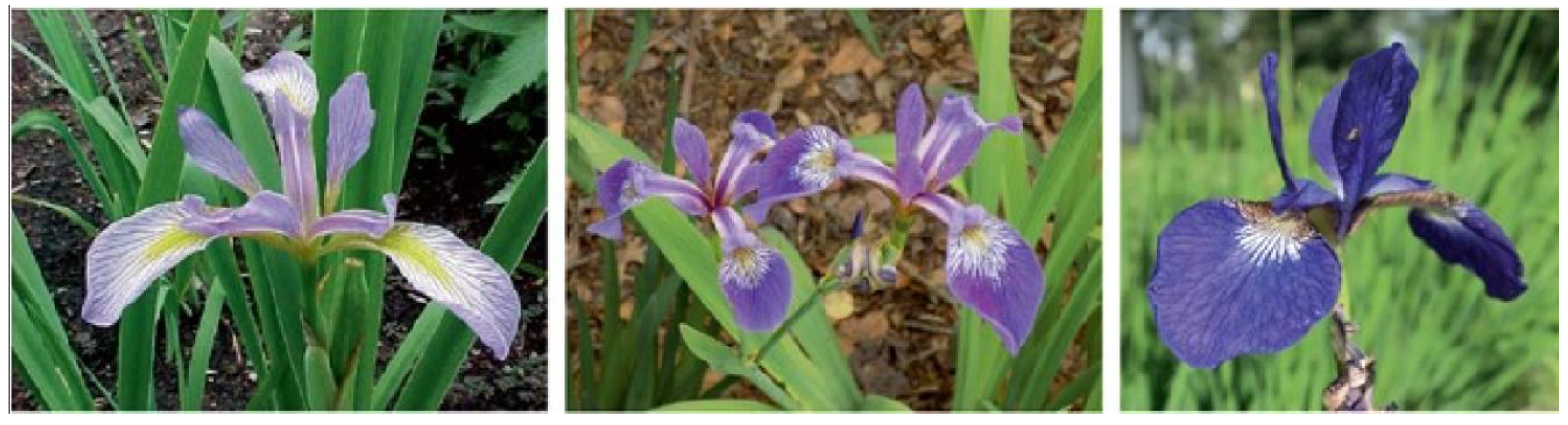 Mathematics 13 03494 g002