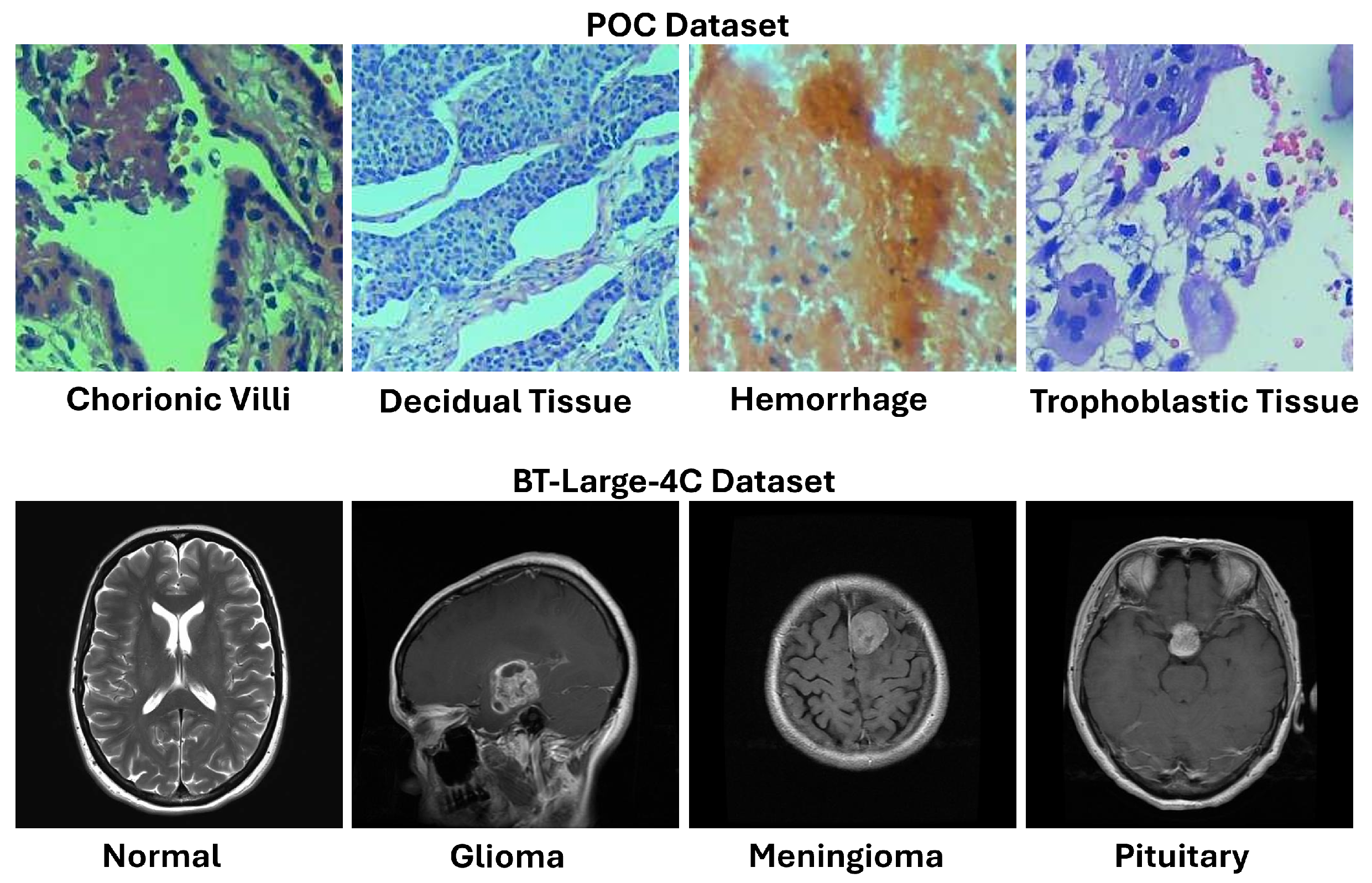 Mathematics 13 03728 g003