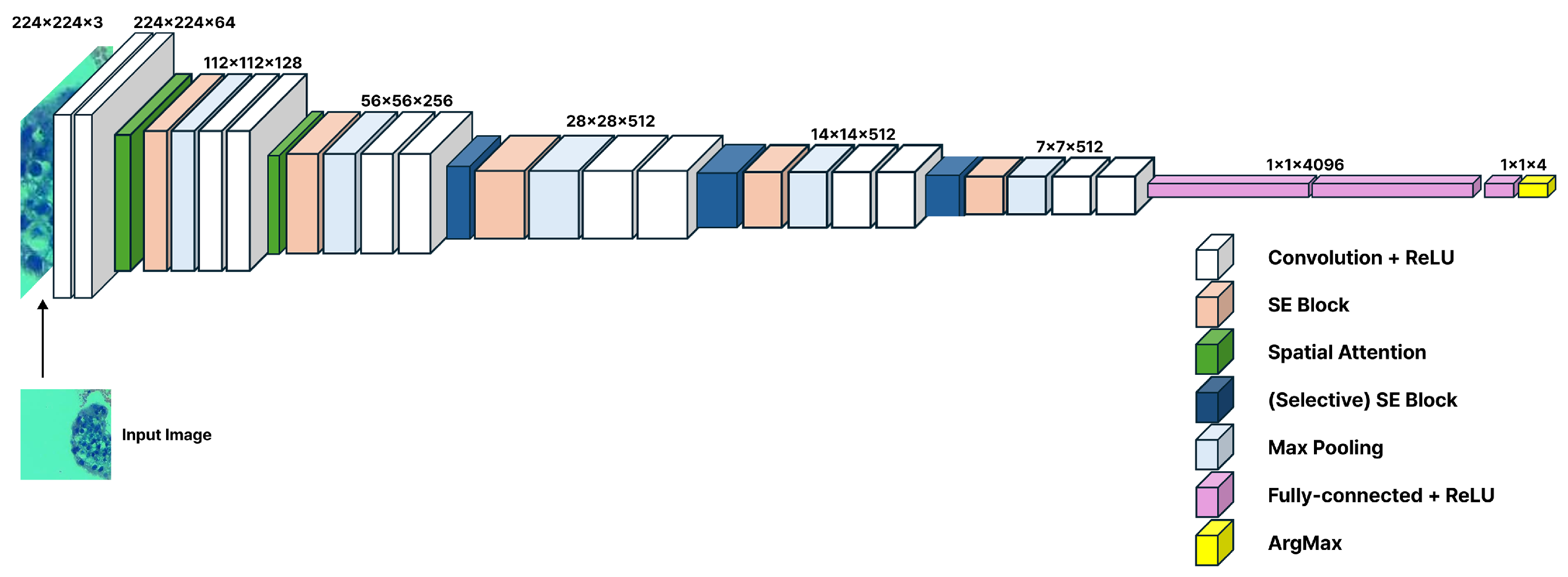 Mathematics 13 03728 g004