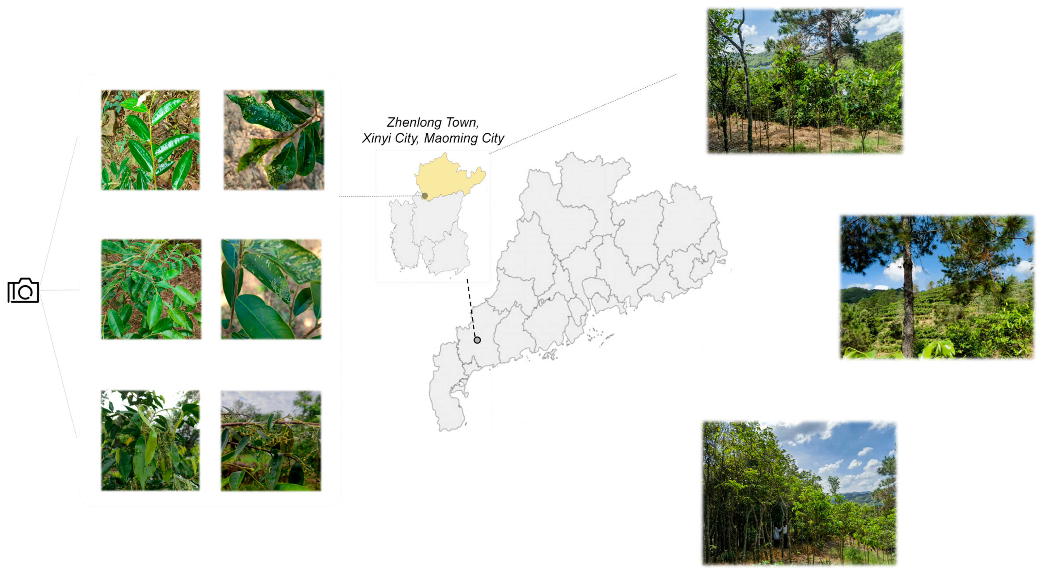 Mathematics 13 03937 g002