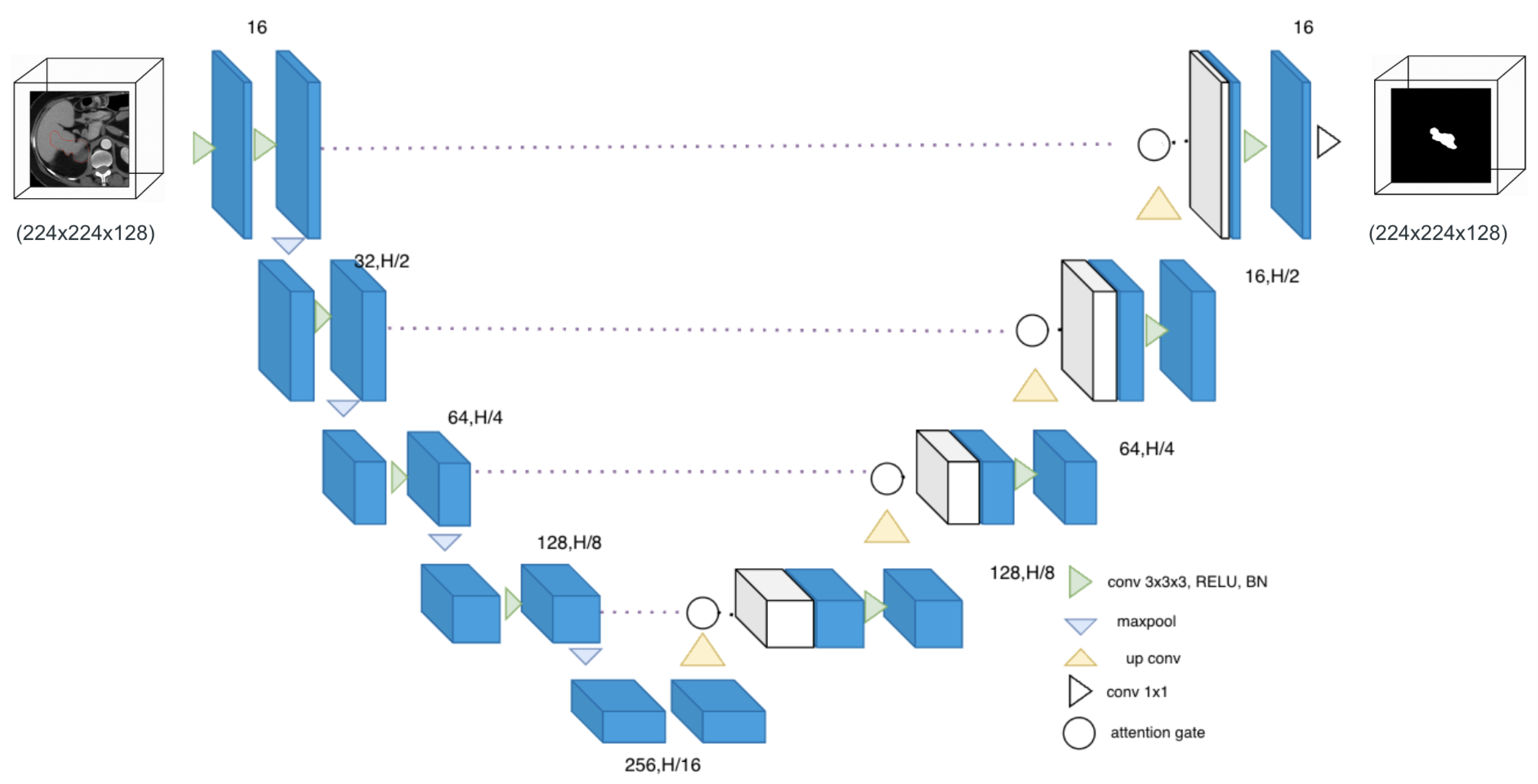Mathematics 13 03942 g001