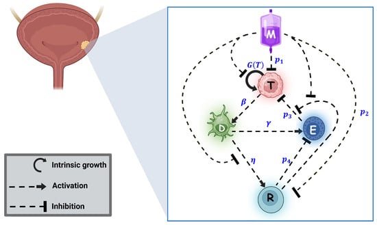 Mathematics 13 03974 g001