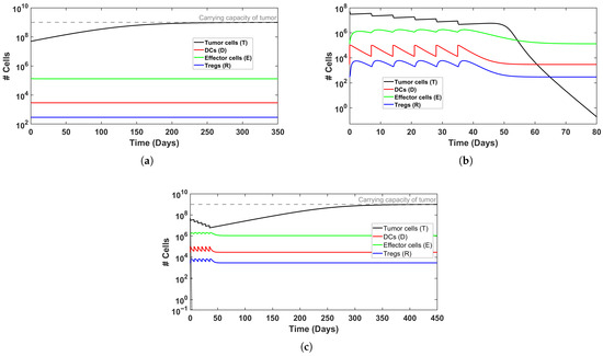 Mathematics 13 03974 g002