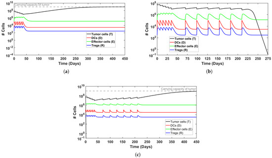 Mathematics 13 03974 g003