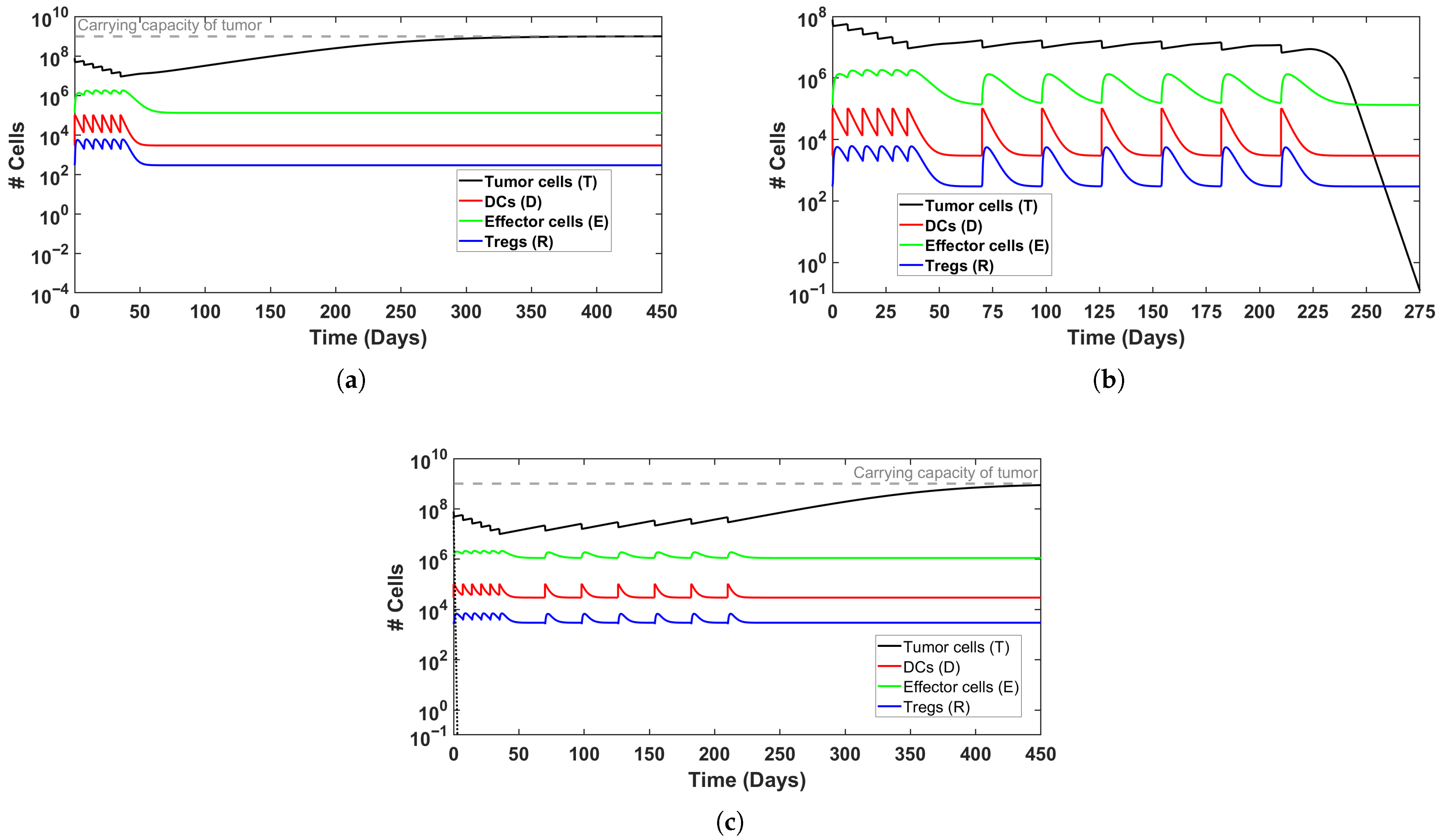 Mathematics 13 03974 g003