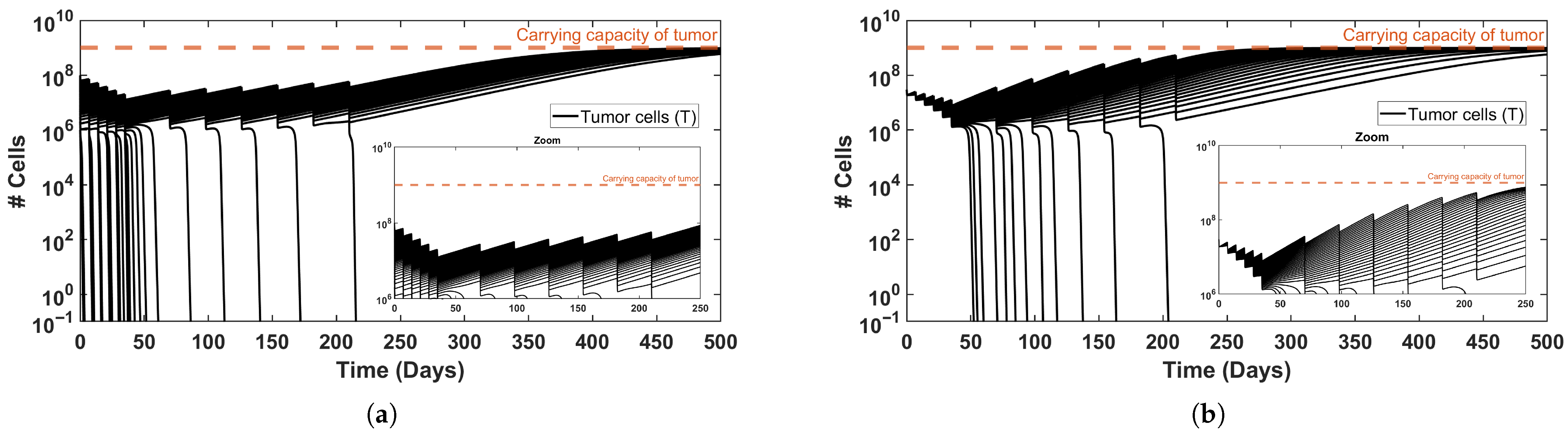 Mathematics 13 03974 g004