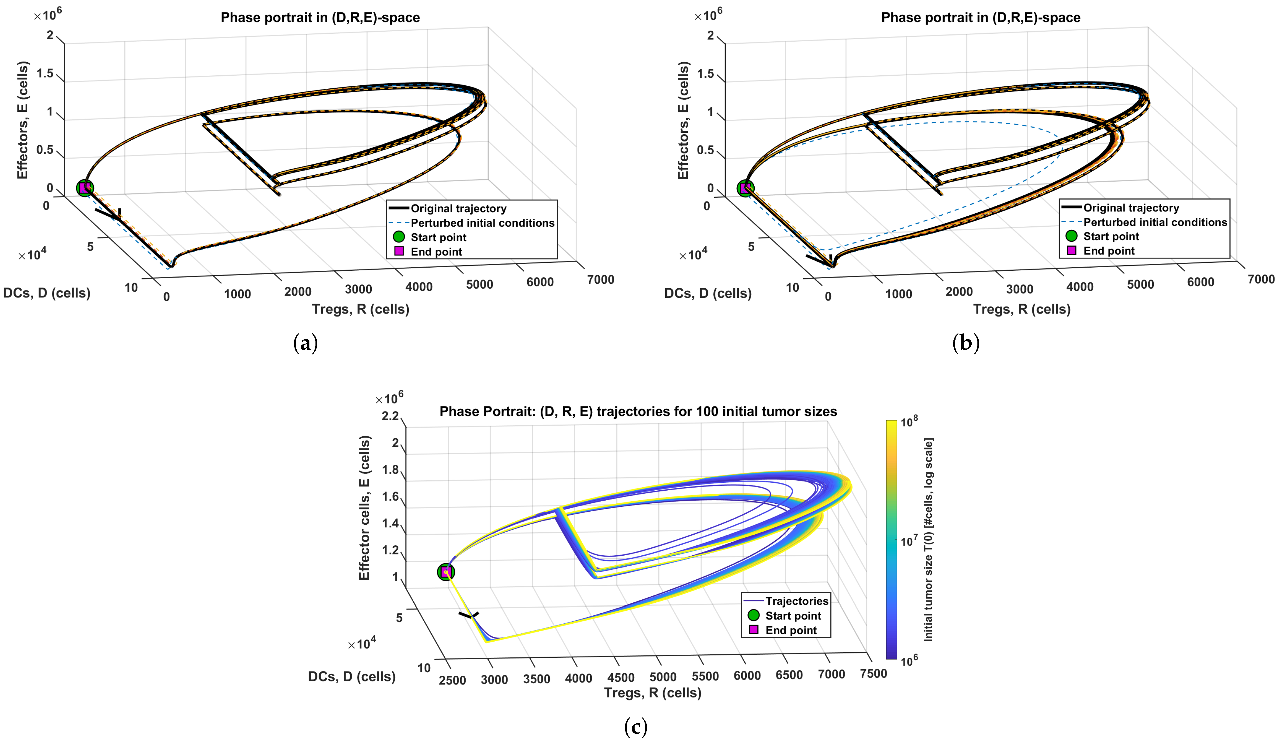Mathematics 13 03974 g005