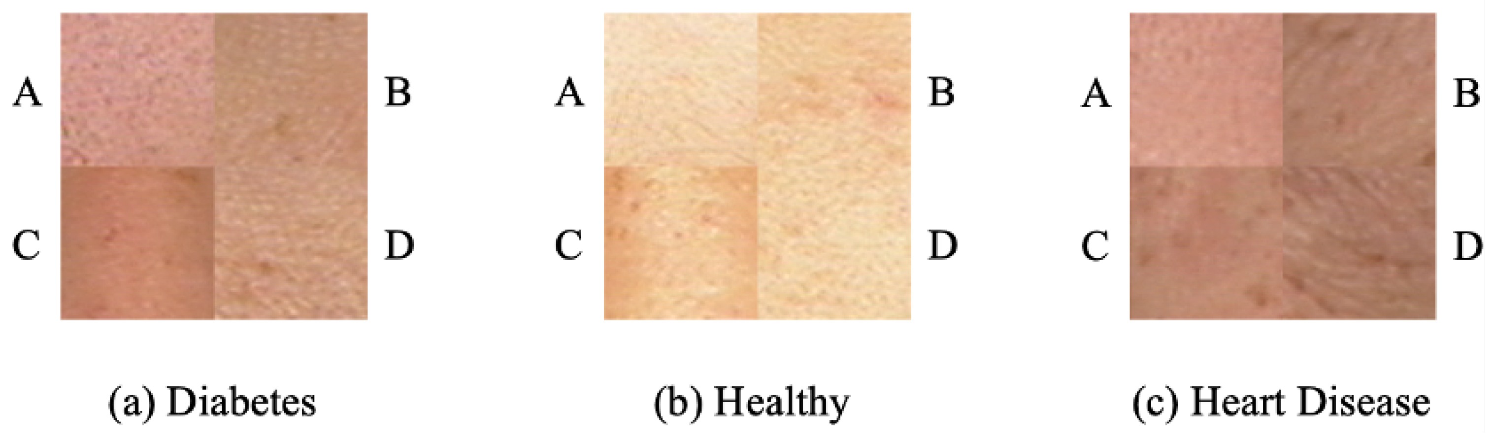Mathematics 14 00485 g006 Mathematics 14 00485 g006