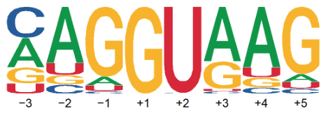 Mathematics 14 01826 g001 Mathematics 14 01826 g001