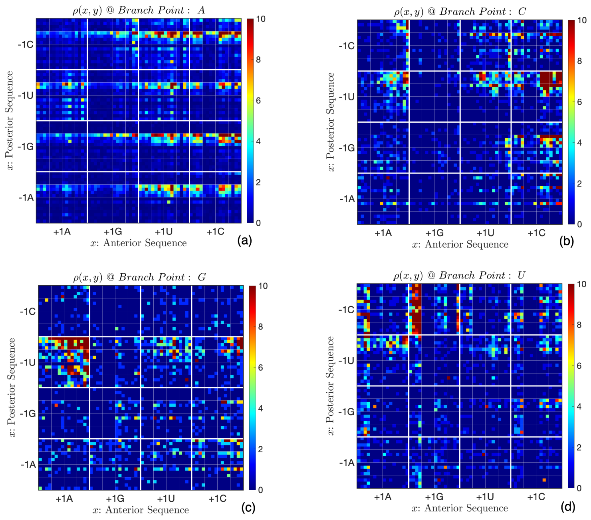 Mathematics 14 01826 g004 Mathematics 14 01826 g004