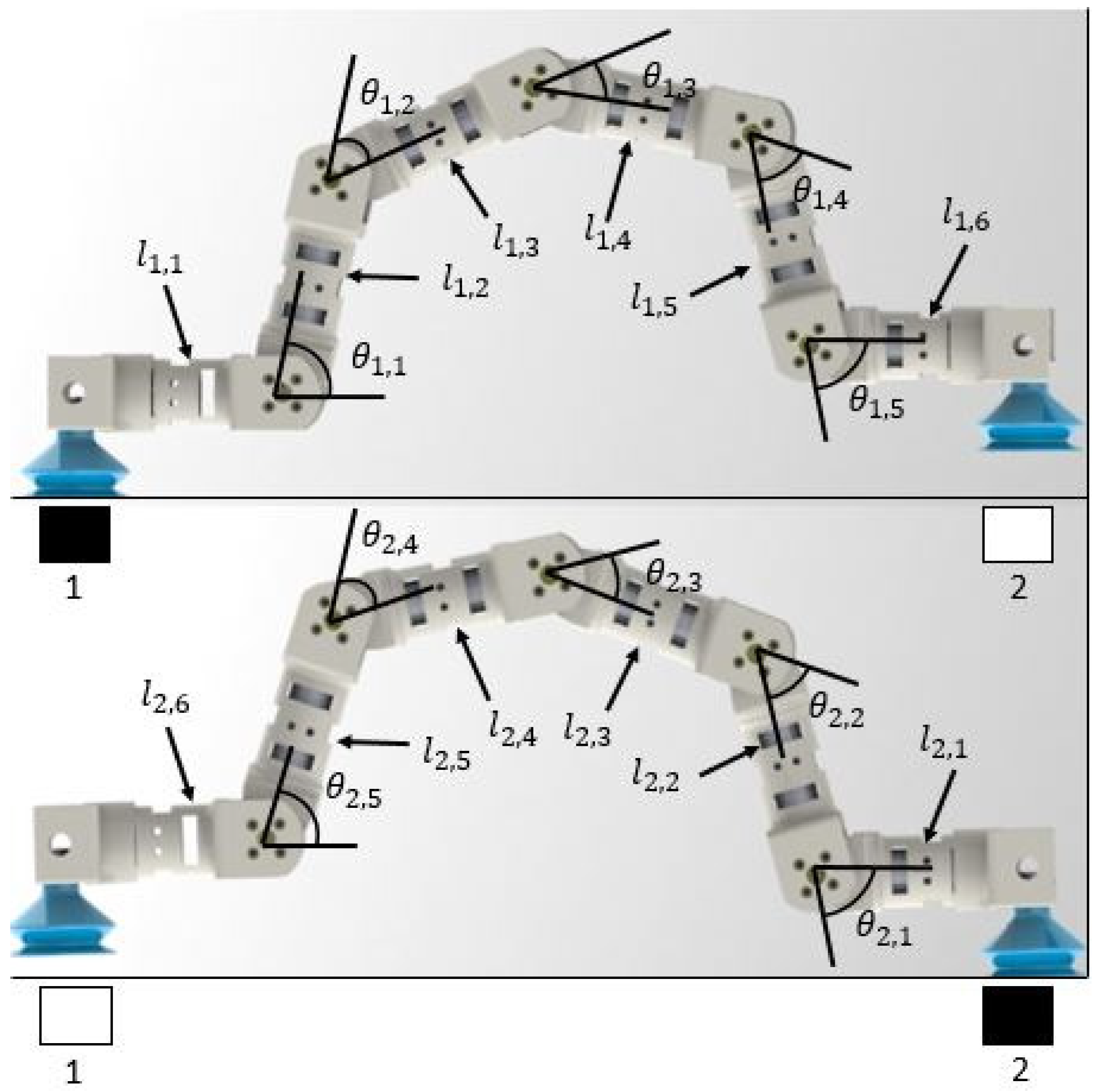 Mca 25 00013 g001 Mca 25 00013 g001