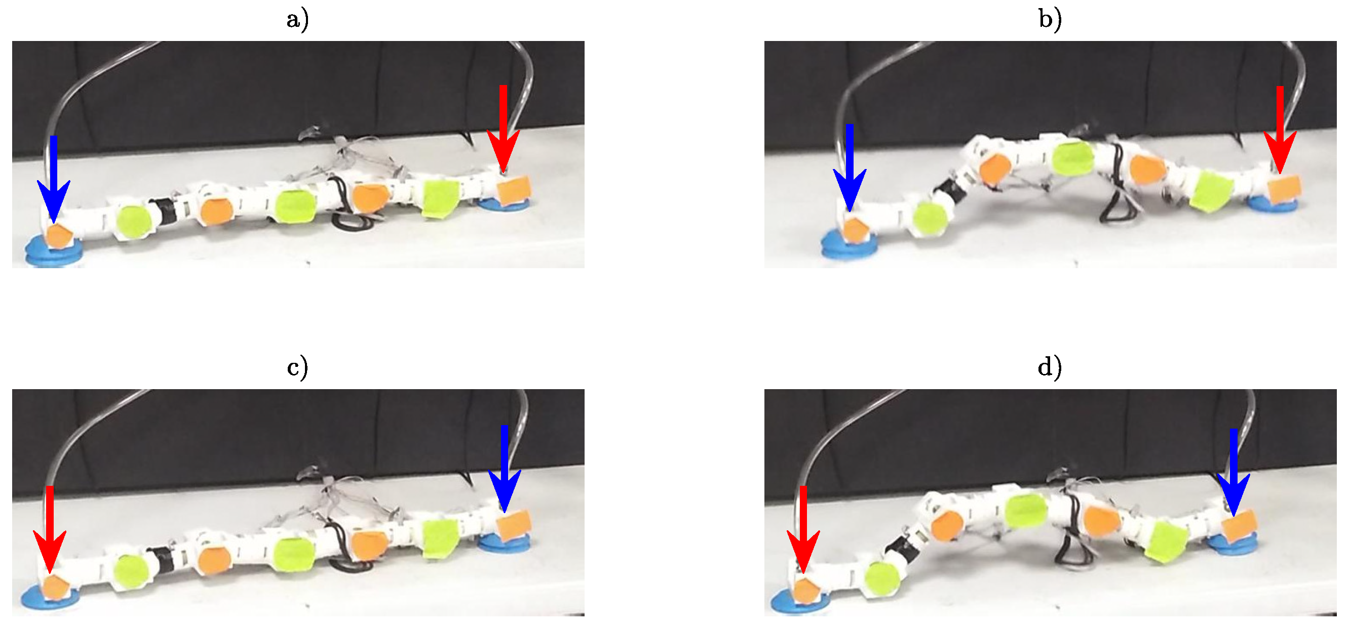 Mca 25 00013 g014 Mca 25 00013 g014