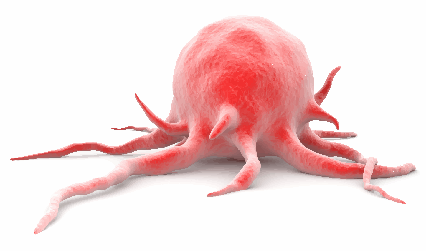 Mca 25 00019 g001 Mca 25 00019 g001