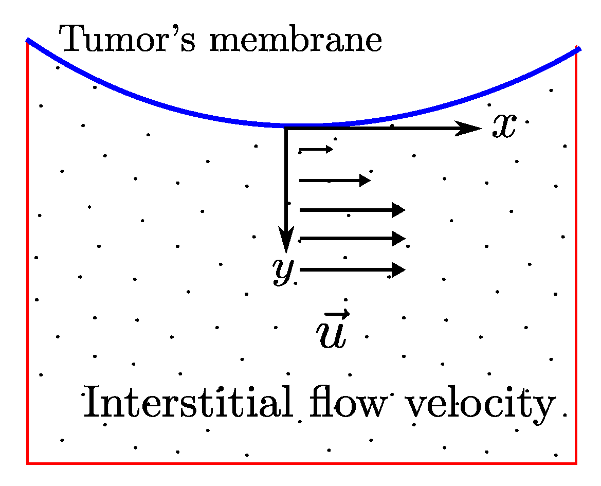 Mca 25 00019 g002 Mca 25 00019 g002